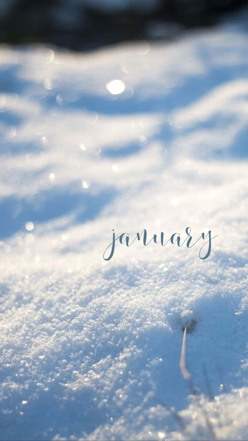 January - A Snowy Scene With The Words January Wallpaper