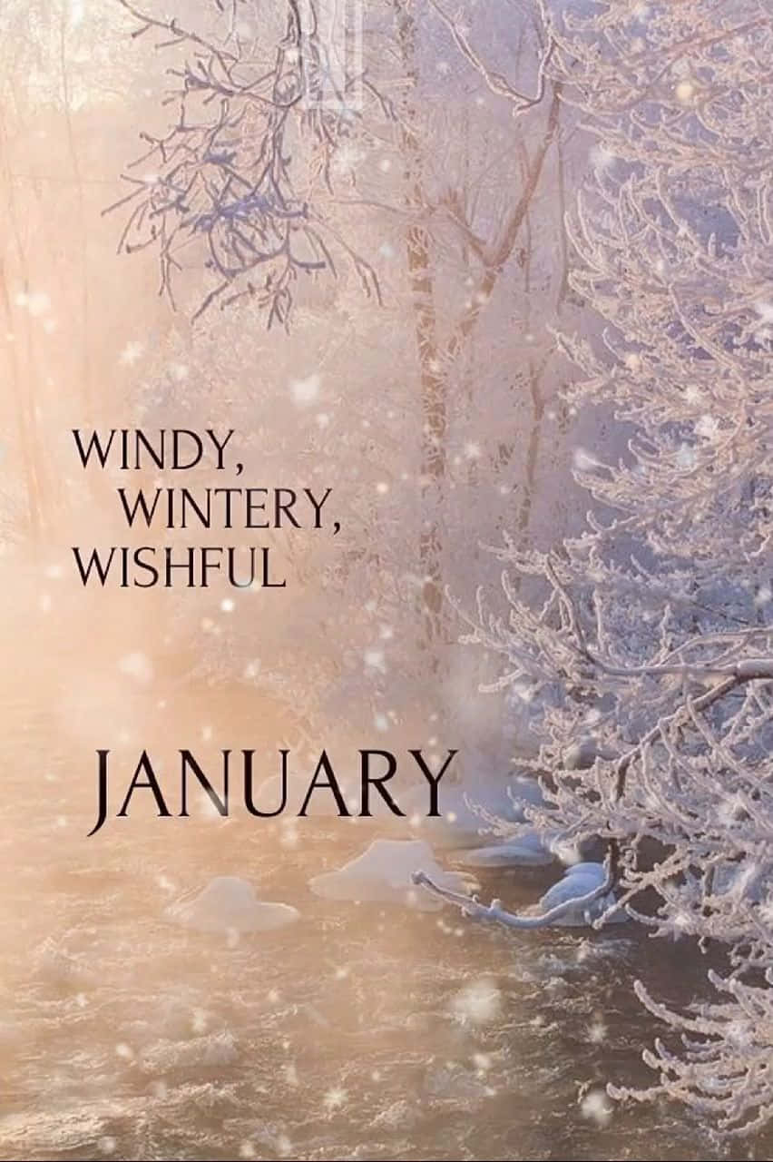 Januarwindiges Winterliches Wunsch