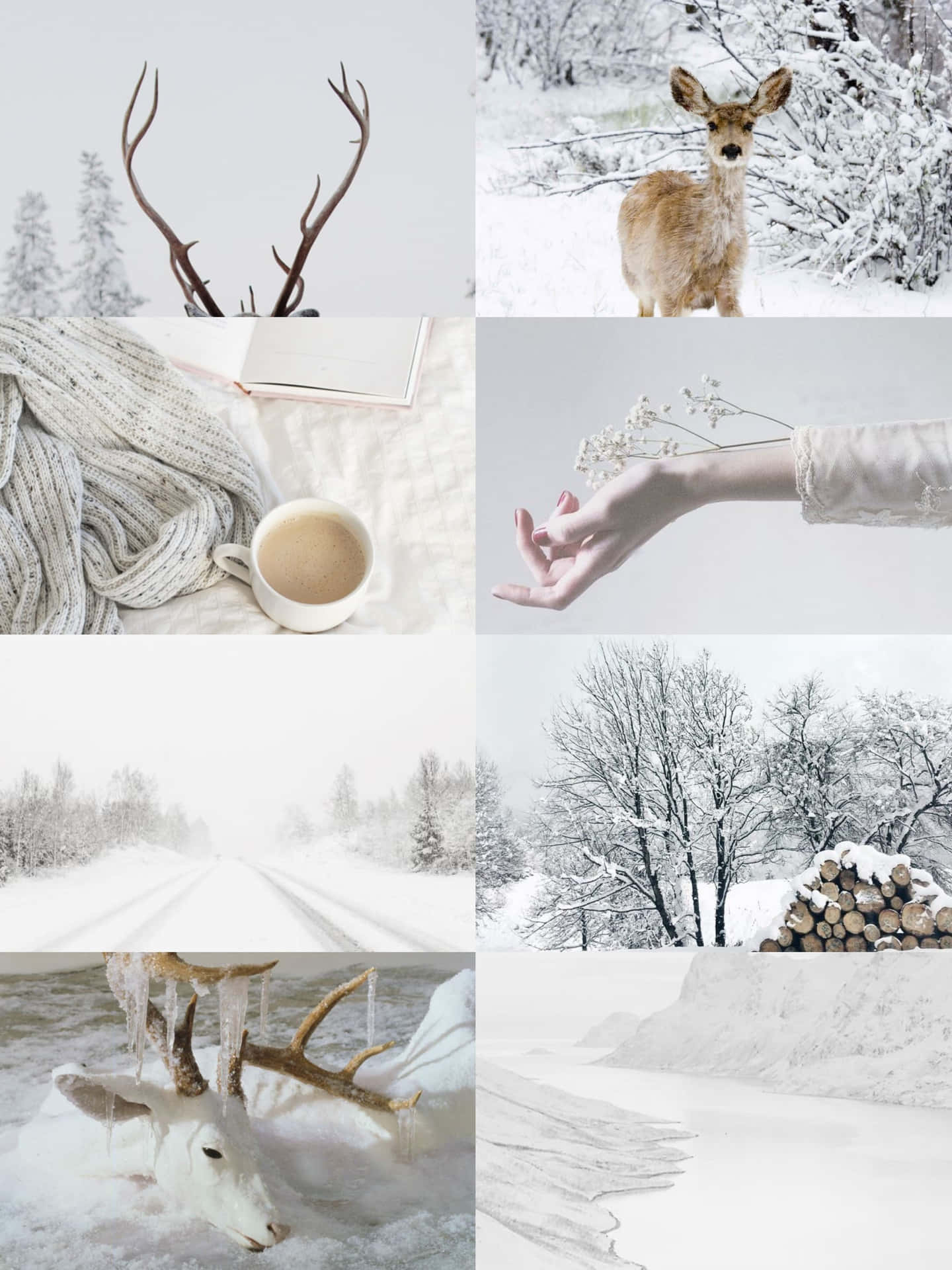 January Winter Aesthetic Collage.jpg Wallpaper