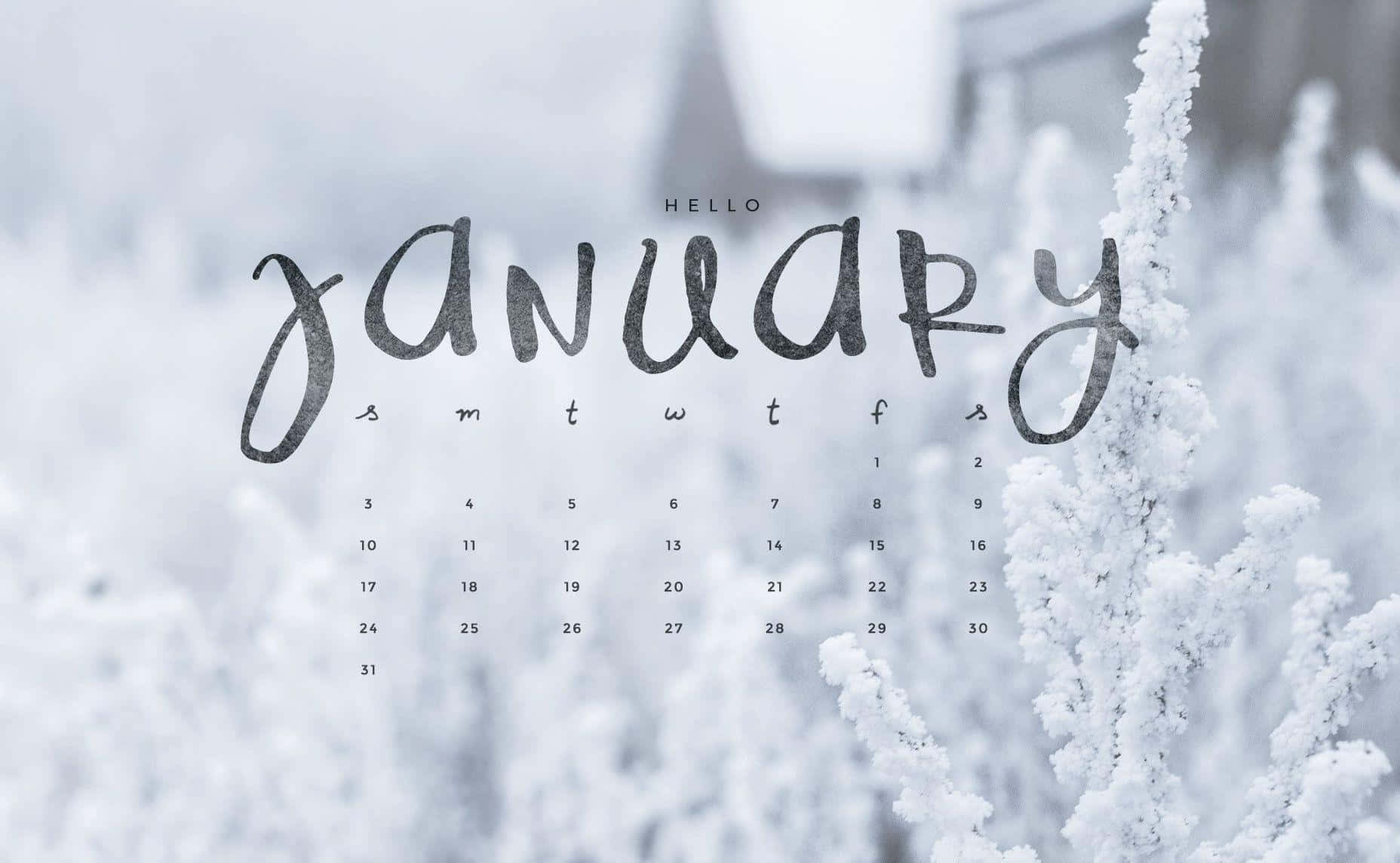 January Winter Calendar Aesthetic Wallpaper