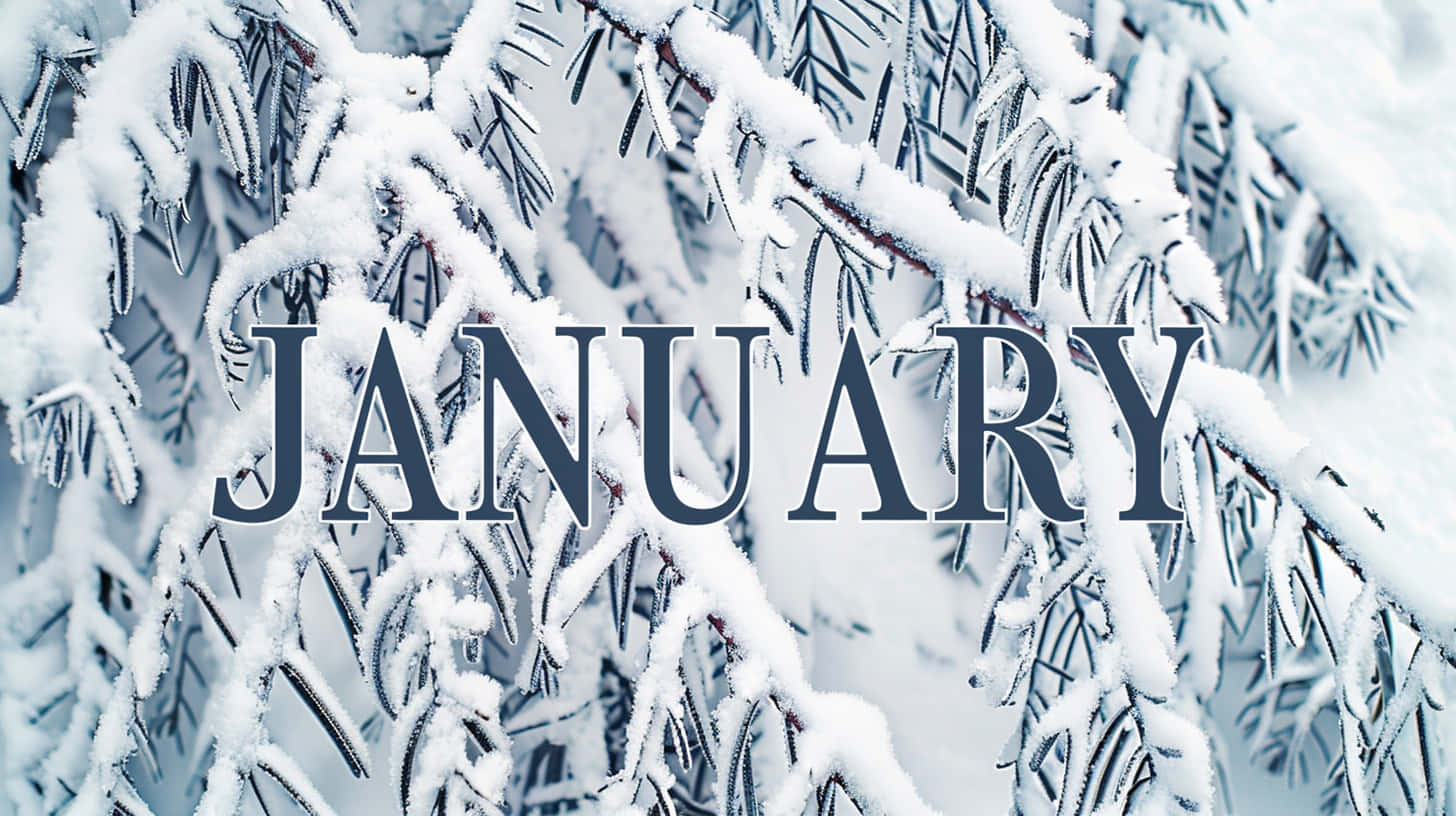 January Winter Frost Aesthetic Wallpaper