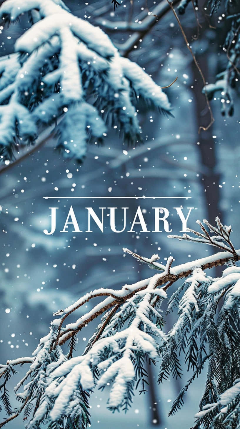 January Winter Snowy Branches Aesthetic.jpg Wallpaper