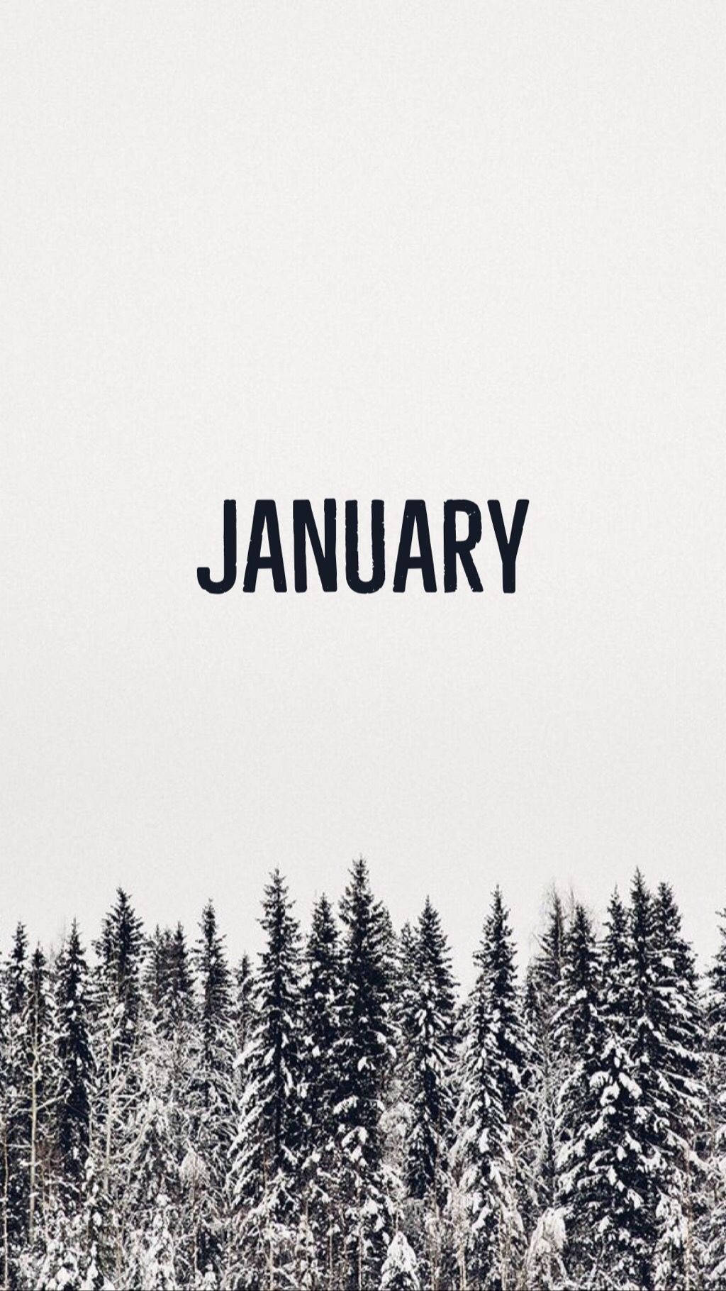 January With Monochromatic Trees Wallpaper