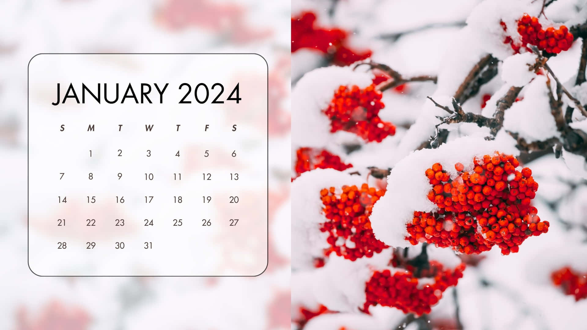 January2024 Winter Berries Calendar Wallpaper