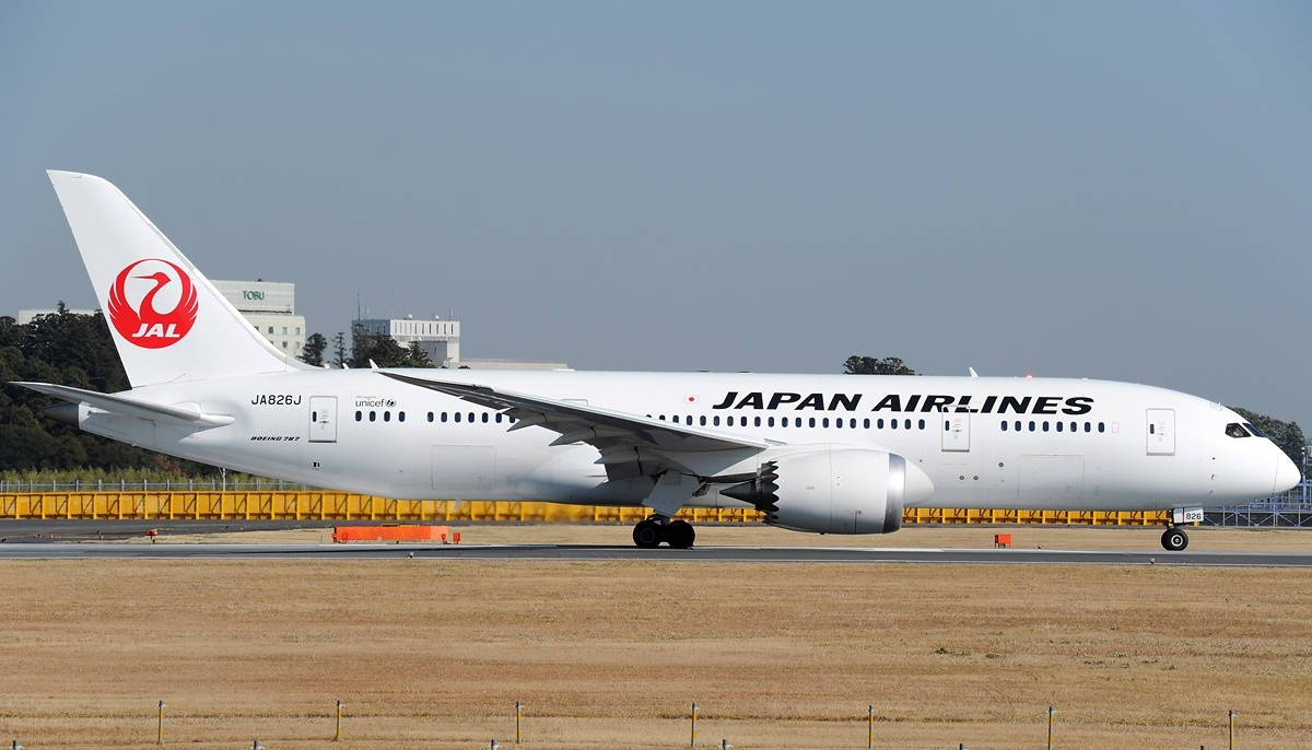 Japan Airlines Airplane Runway Picture