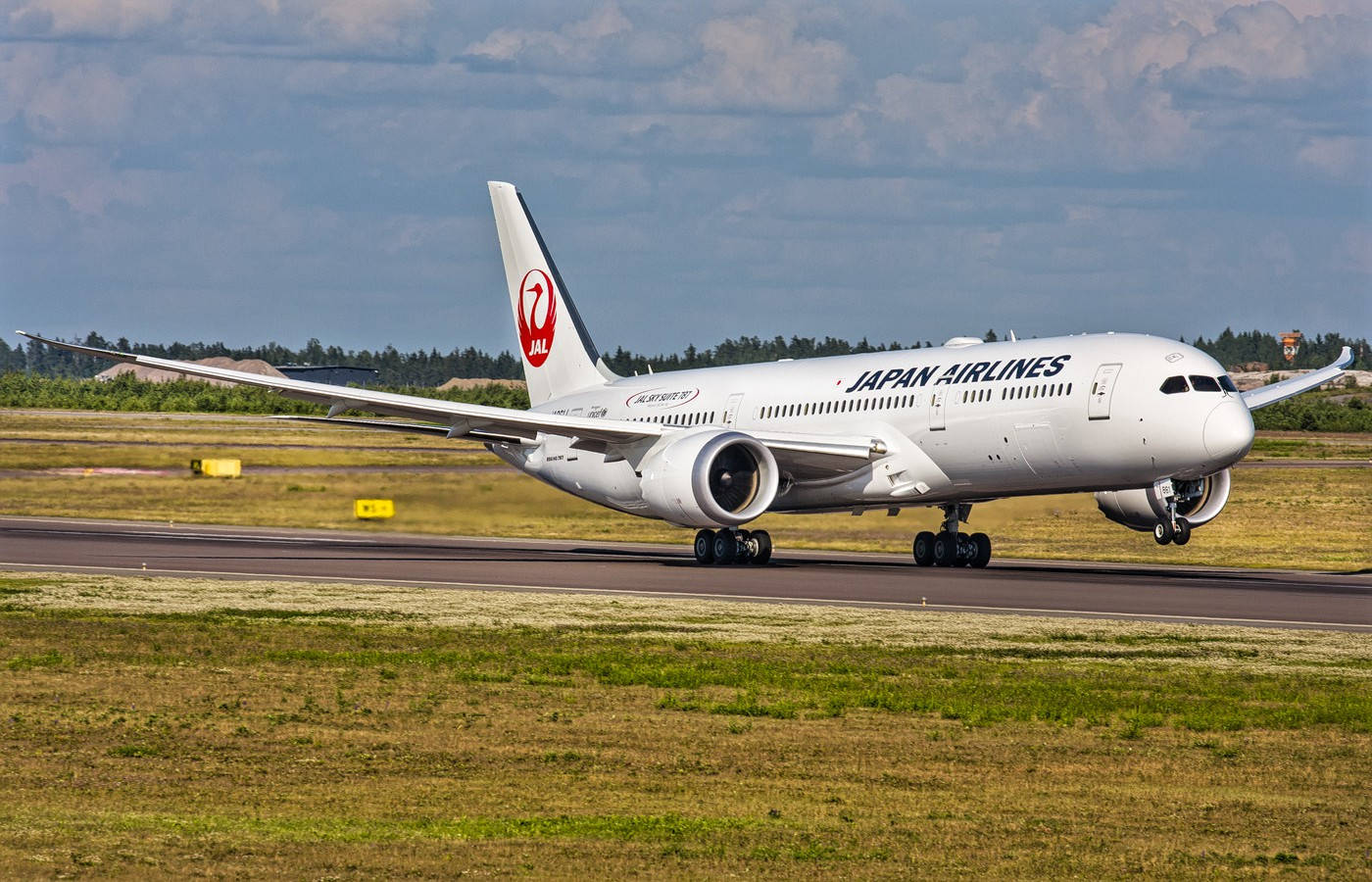 Japan Airlines Departure Taxiway Picture