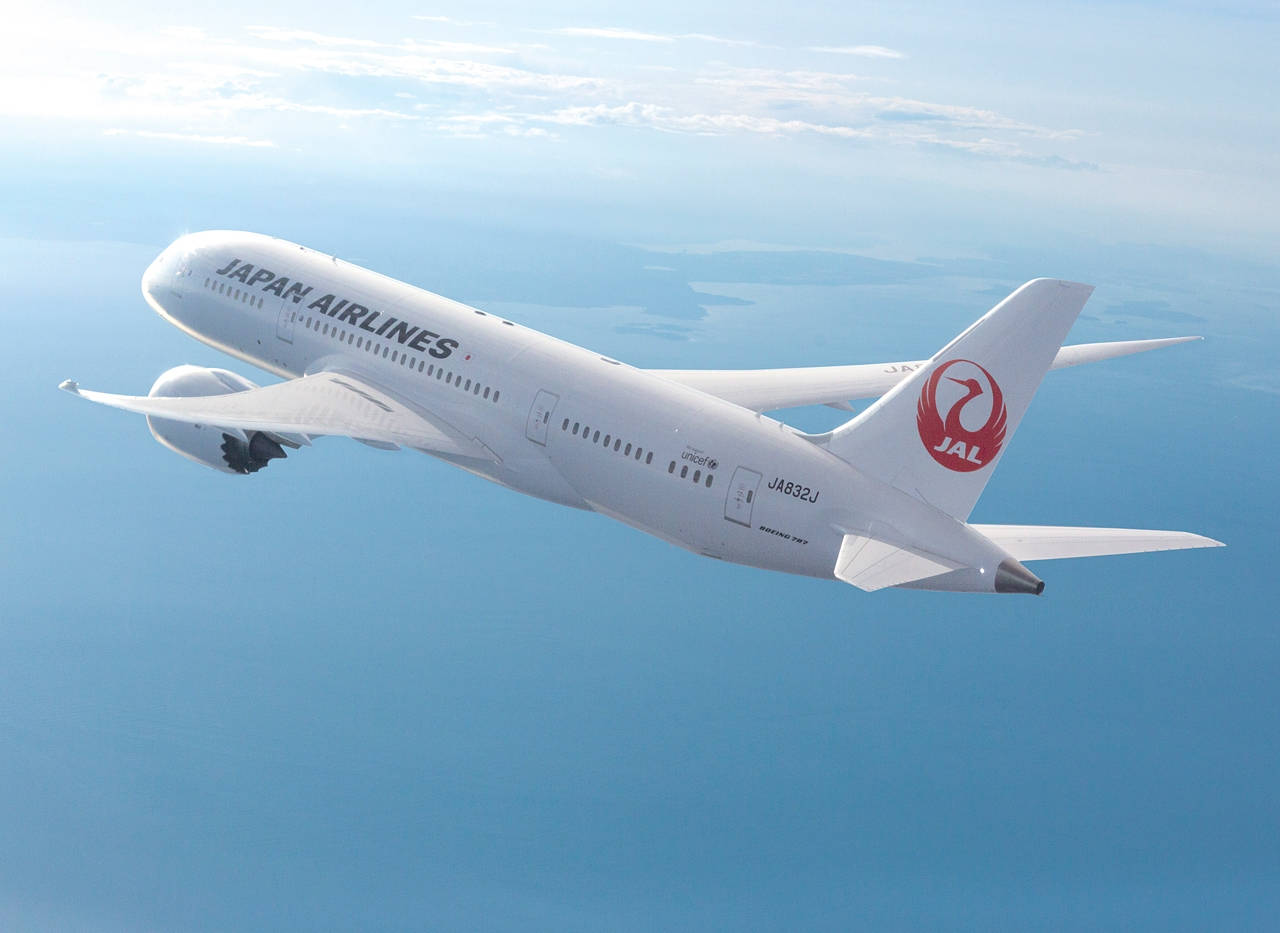 Japan Airlines Flying Sea Picture