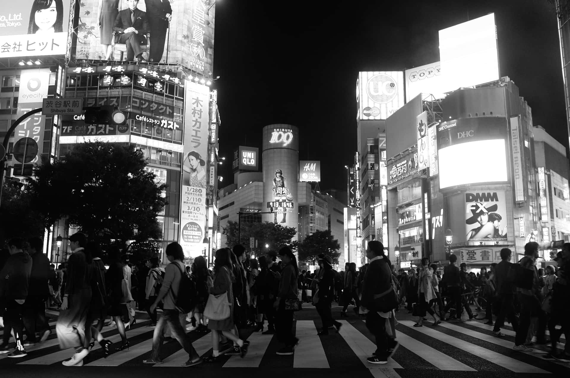 Japónen Blanco Y Negro: Cruce De Shibuya Fondo de pantalla