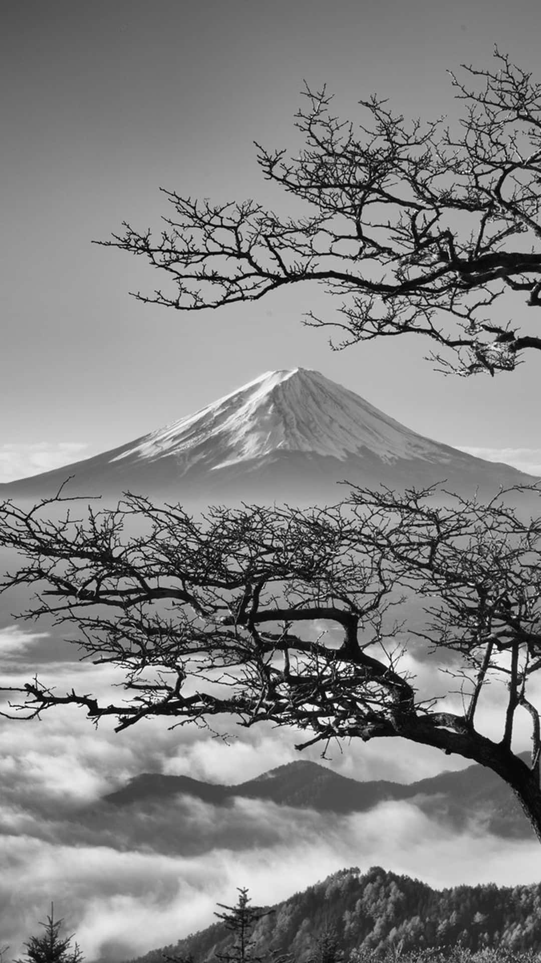 Serenapaesaggio Giapponese In Bianco E Nero Sfondo
