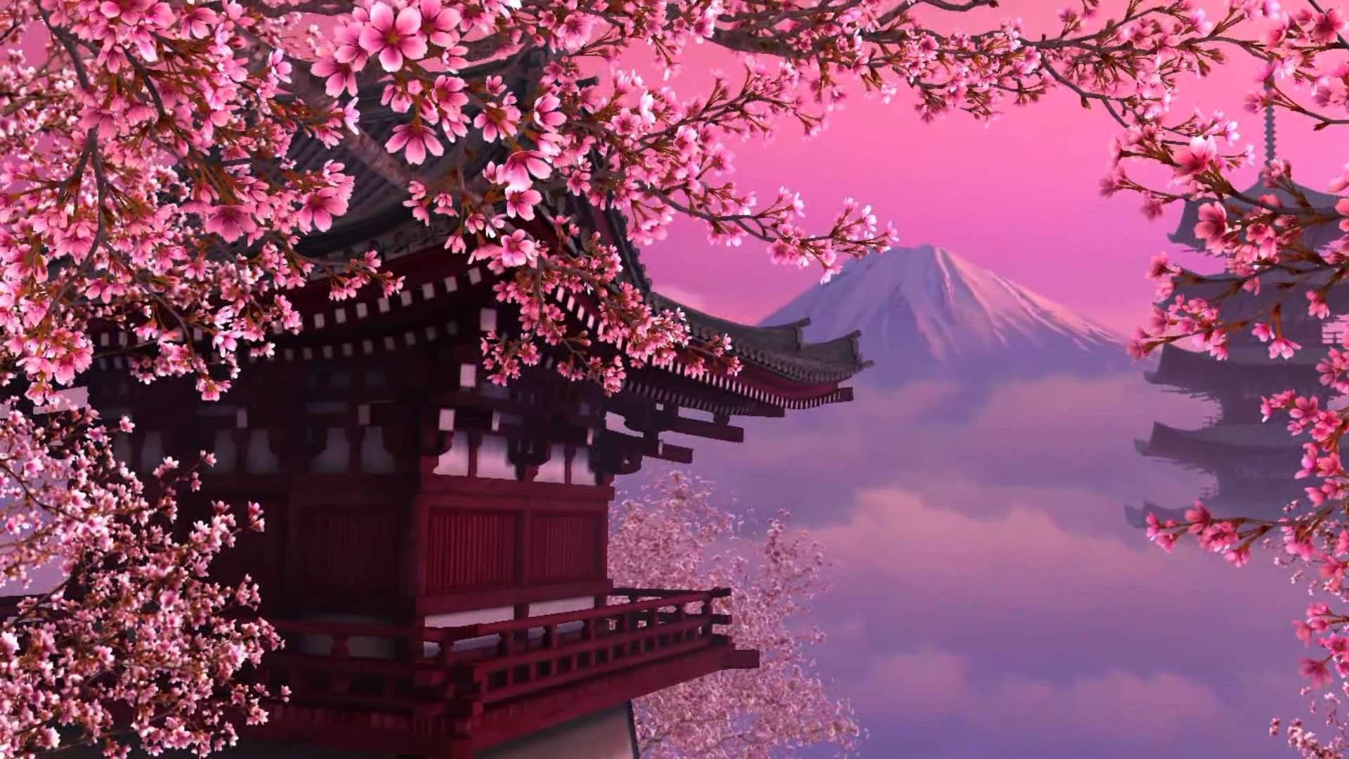 Japancherry Blossom Kunstarbejde Pink Himmel Wallpaper