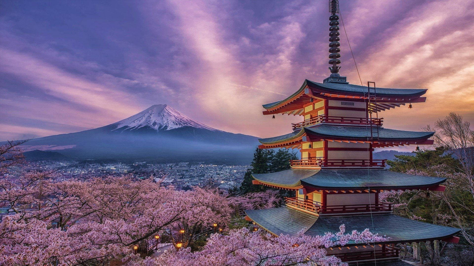 Japancherry Blossom Pagoda Og Mt. Fuji Wallpaper