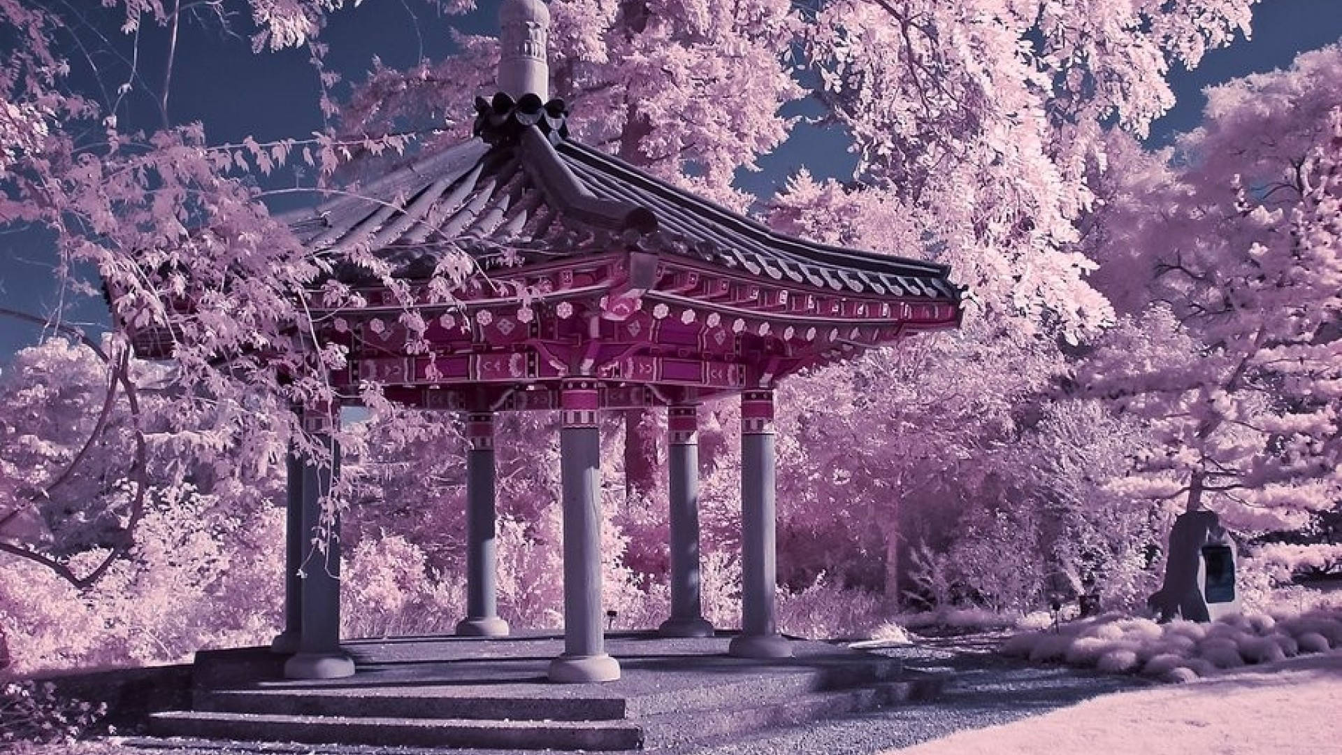 Japan Cherry Blossom Gazebo Park Wallpaper