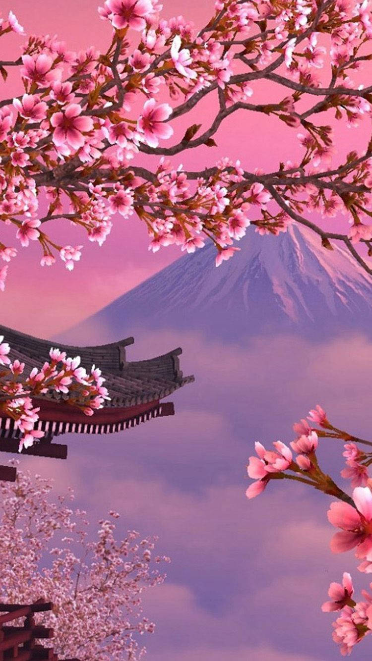 Japankörsbärsblommor Mt Fuji Wallpaper