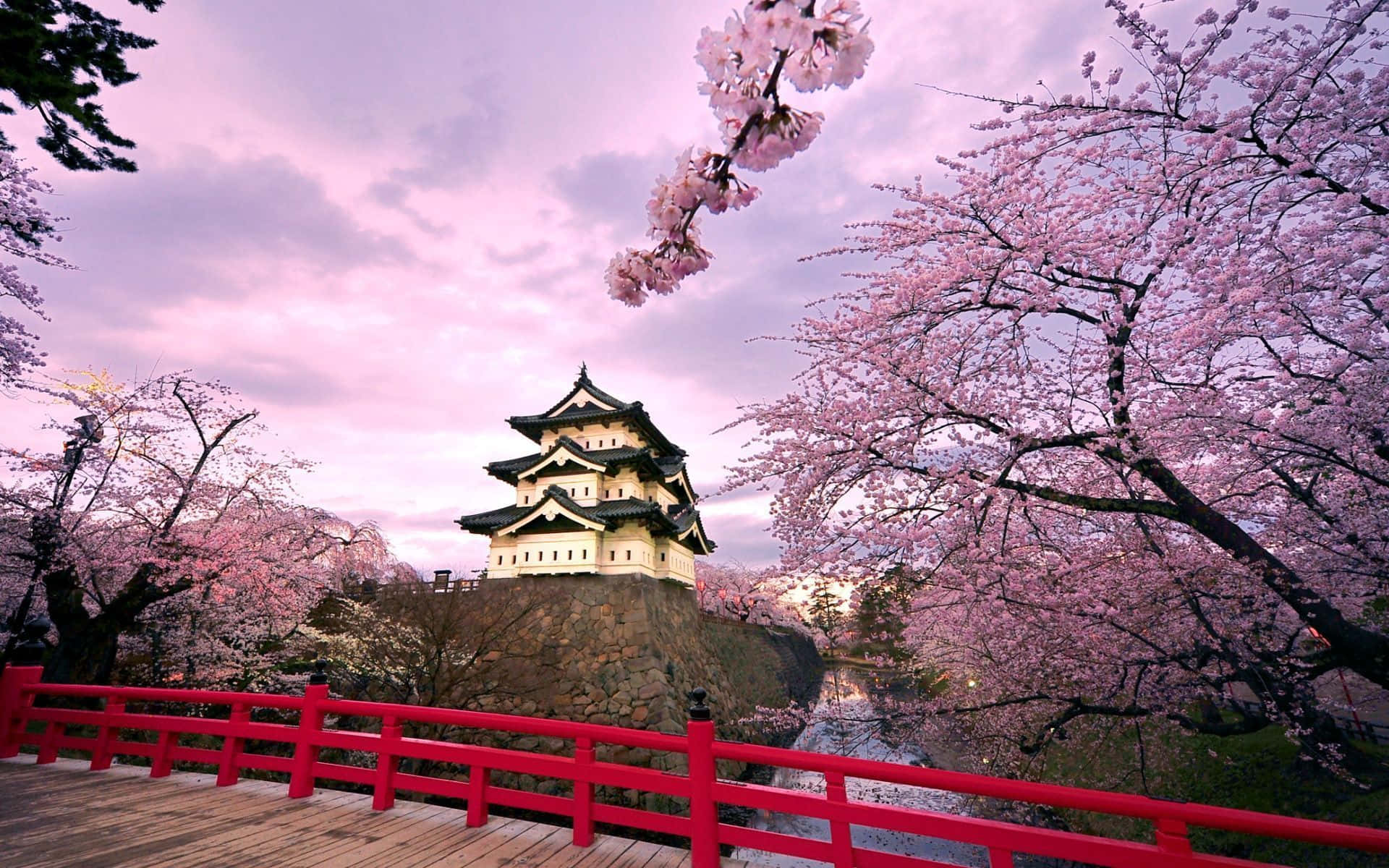 A Bridge With Cherry Blossoms And A Red Bridge Wallpaper