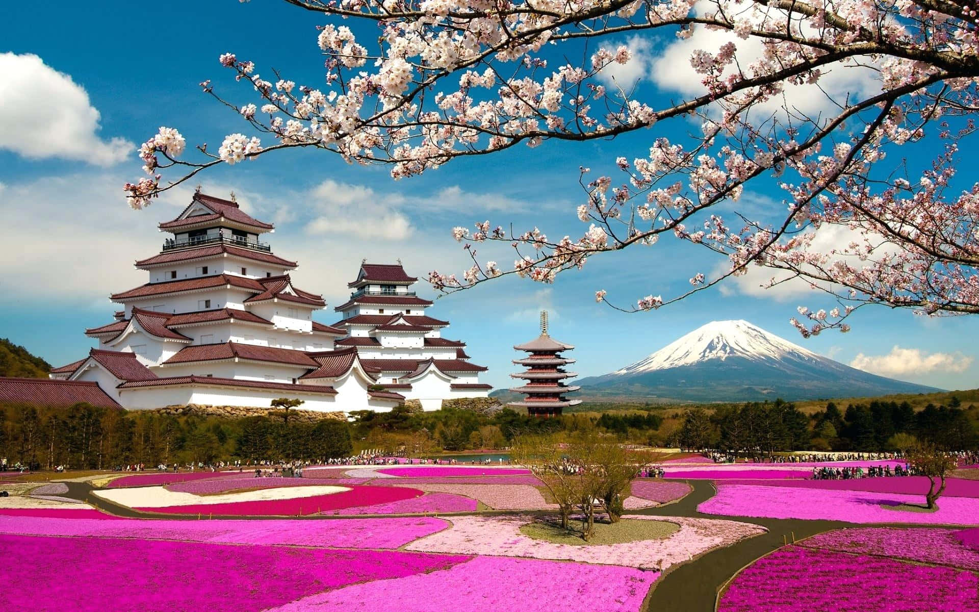 Tågede tempel skjult på tværs af en klippet landskab i Japan Wallpaper