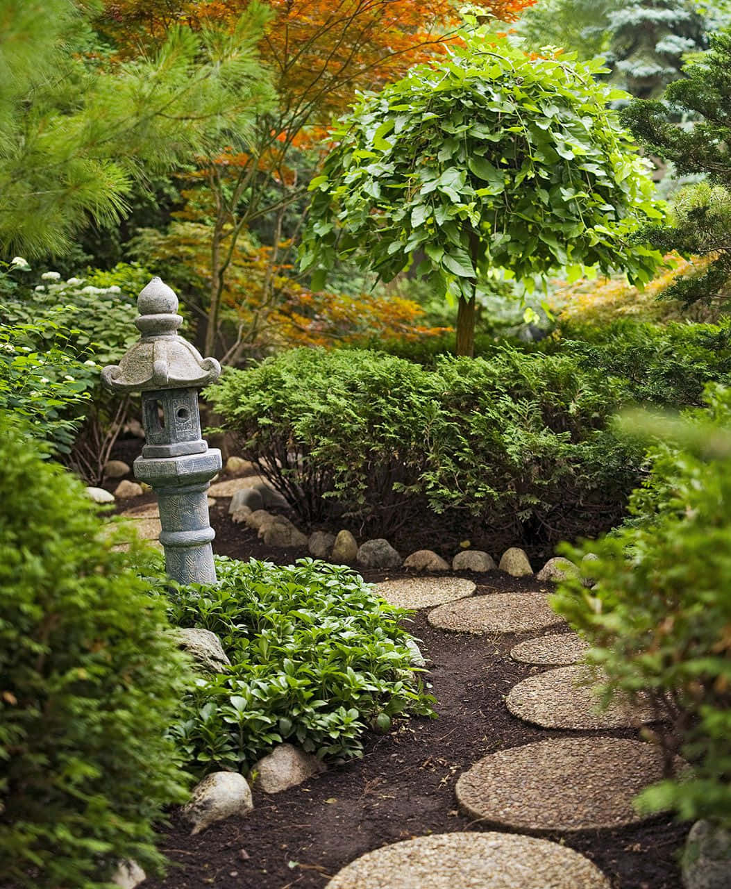 Serene Japanese Garden Scene