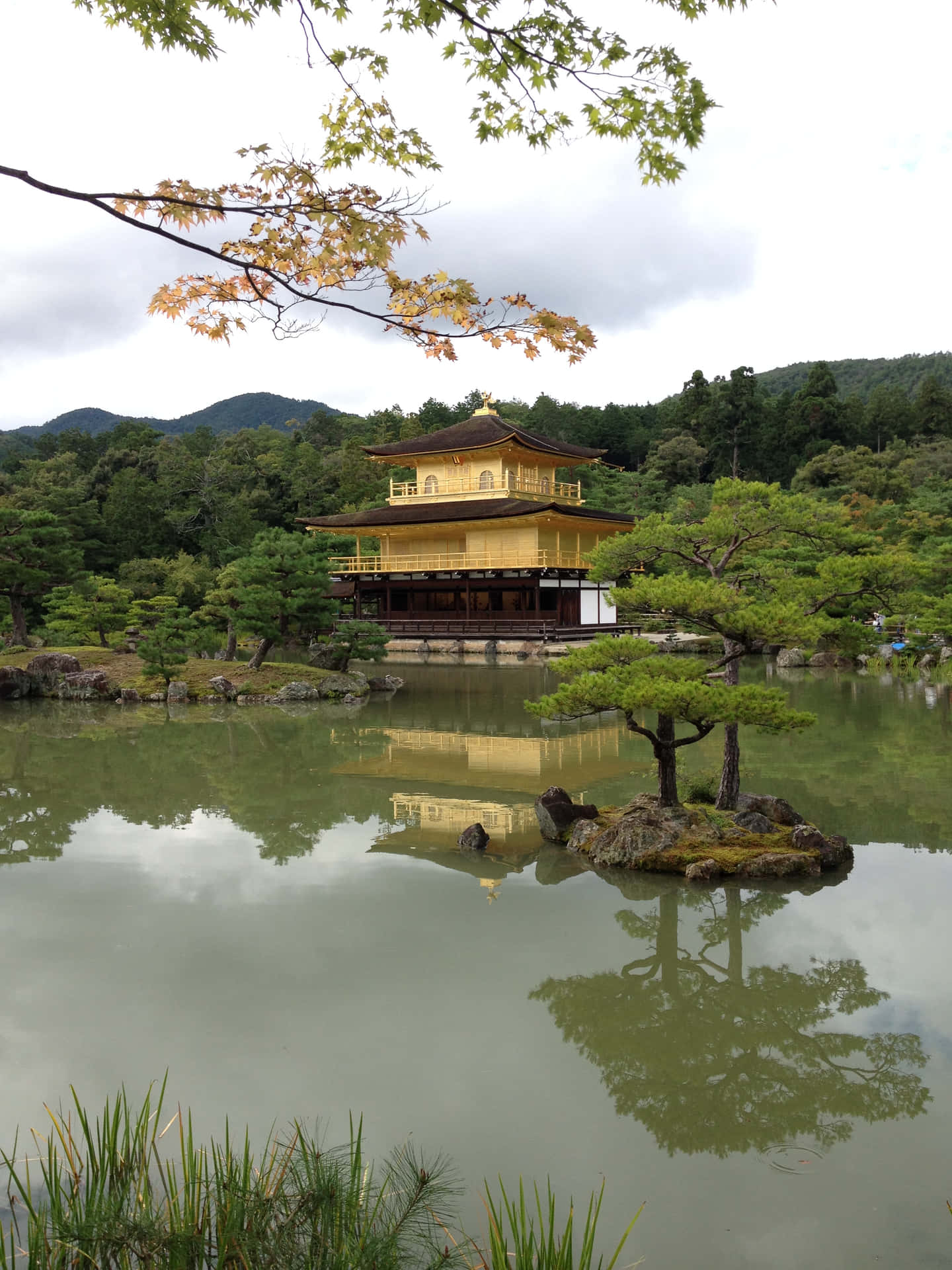 A traditional Japanese temple in a vibrant green landscape