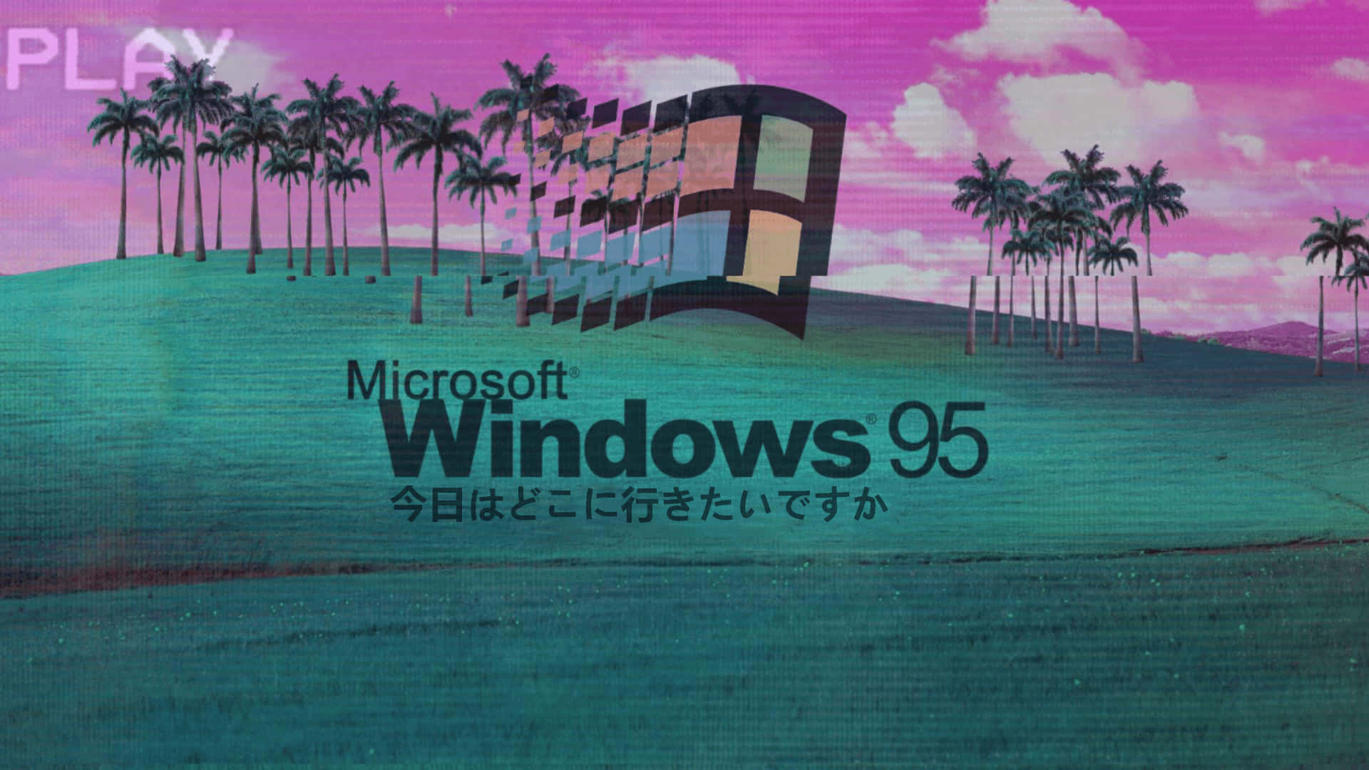 Windows 95 Logo With Palm Trees Wallpaper