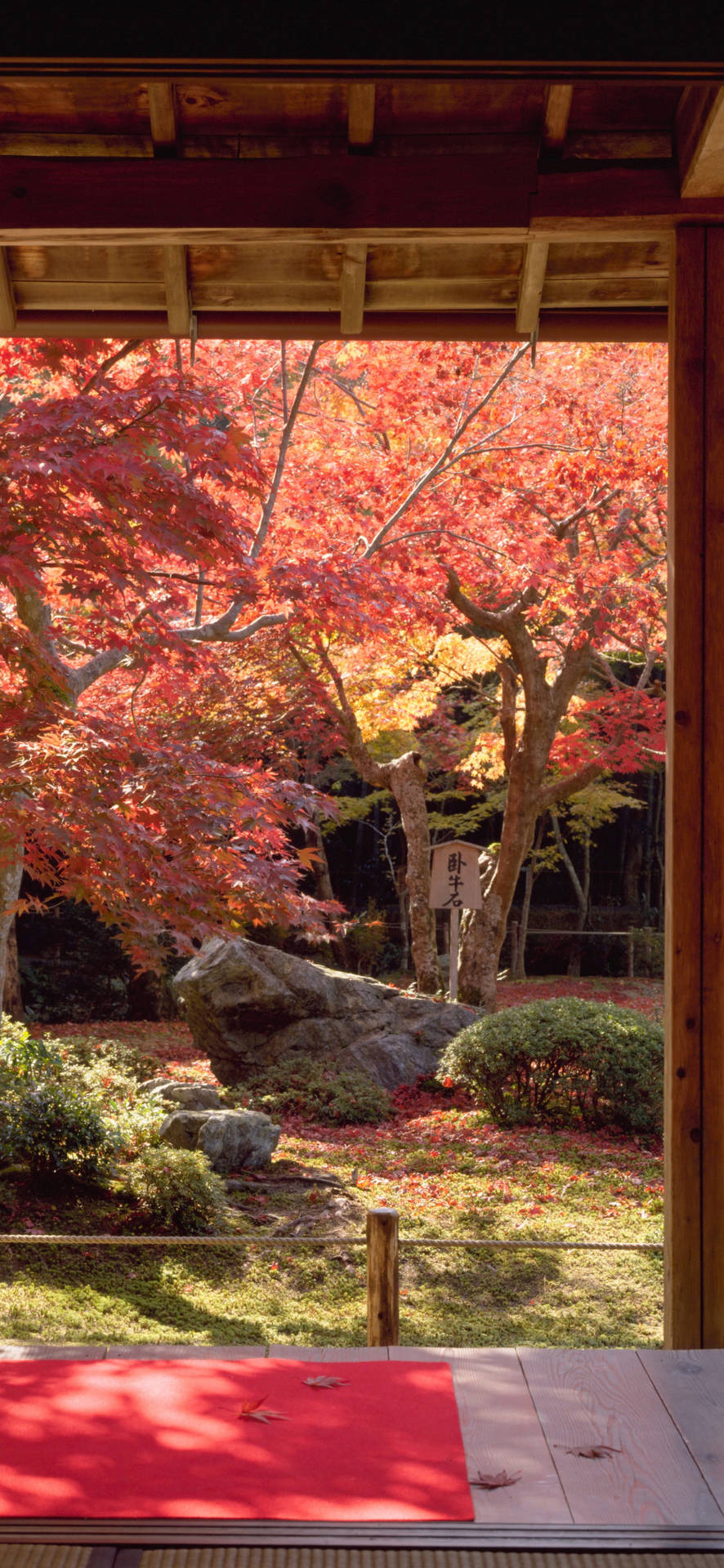 Japanese Aesthetic Iphone Sakura In House Garden Wallpaper