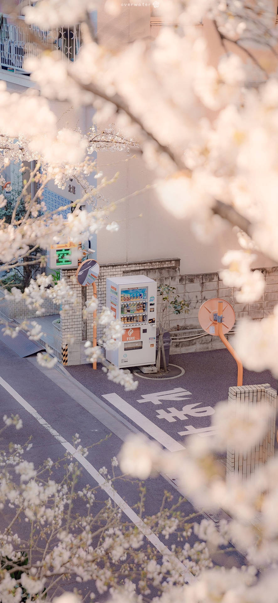 Japanese Aesthetic Iphone Vending Machine And Sakura Flowers Wallpaper