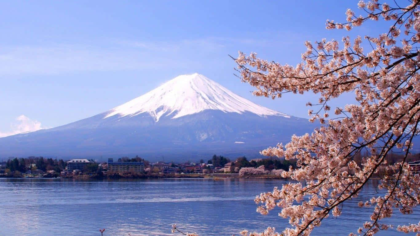 A Mountain With Cherry Blossoms In The Background