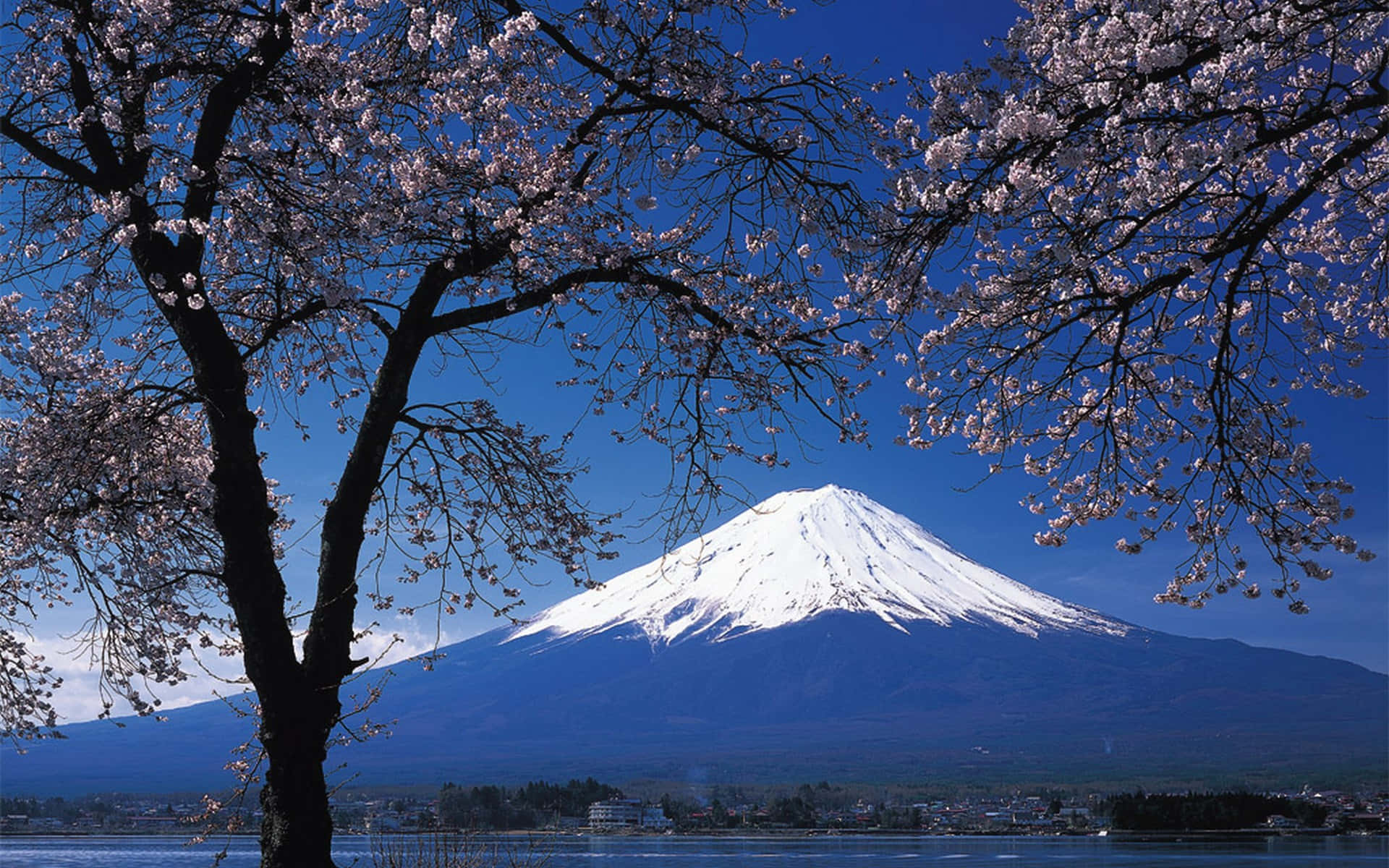 Lebendigefarben Und Atemberaubende Aussichten – Ein Blick Auf Japan