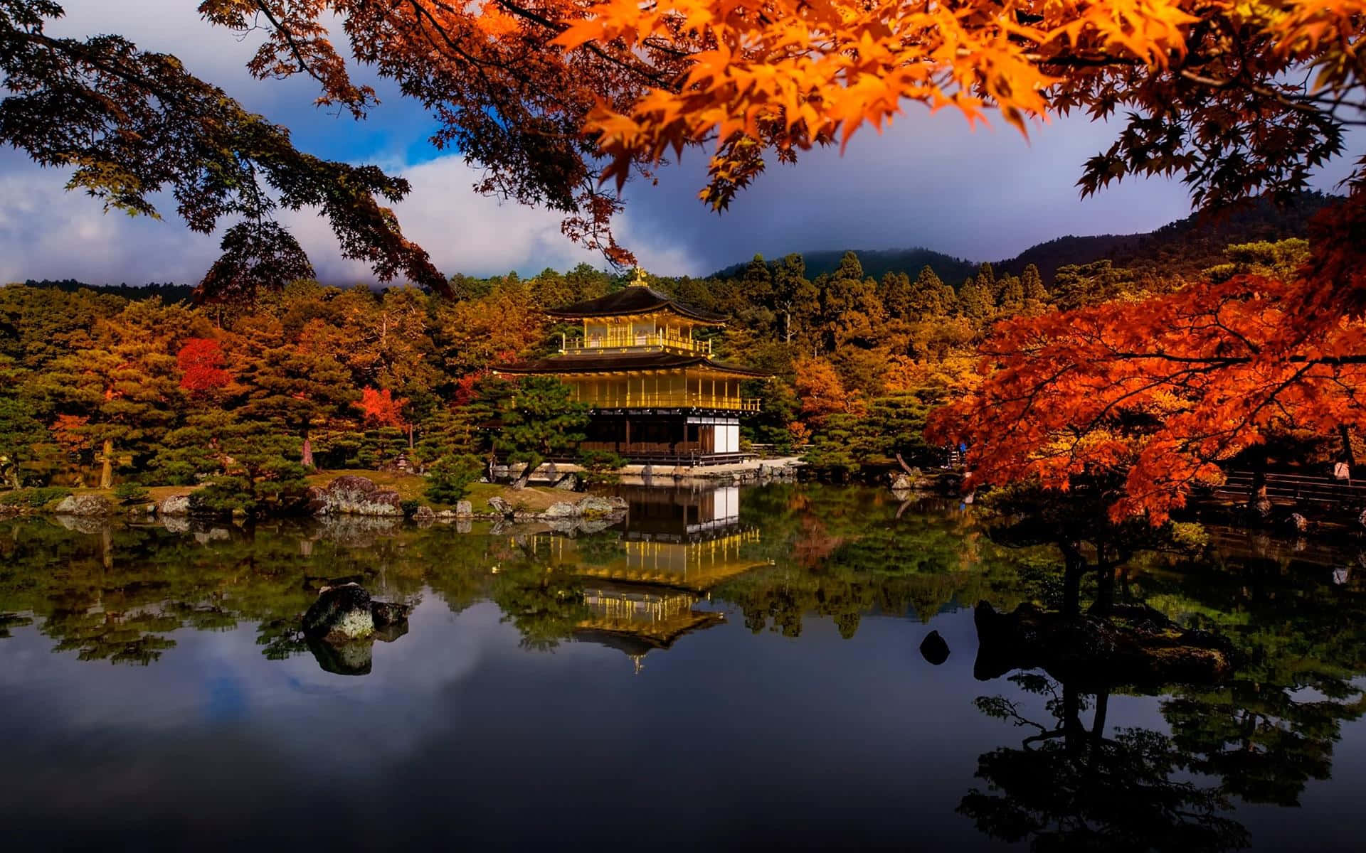 Experience the beauty of Japan
