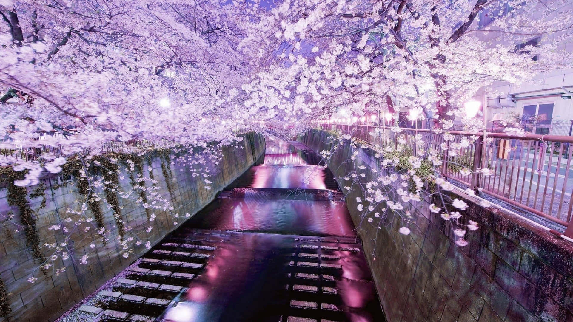 Einemalerische Ansicht Des Traditionellen Japanischen Tempels, Umrahmt Von Den Leuchtenden Farben Der Natur