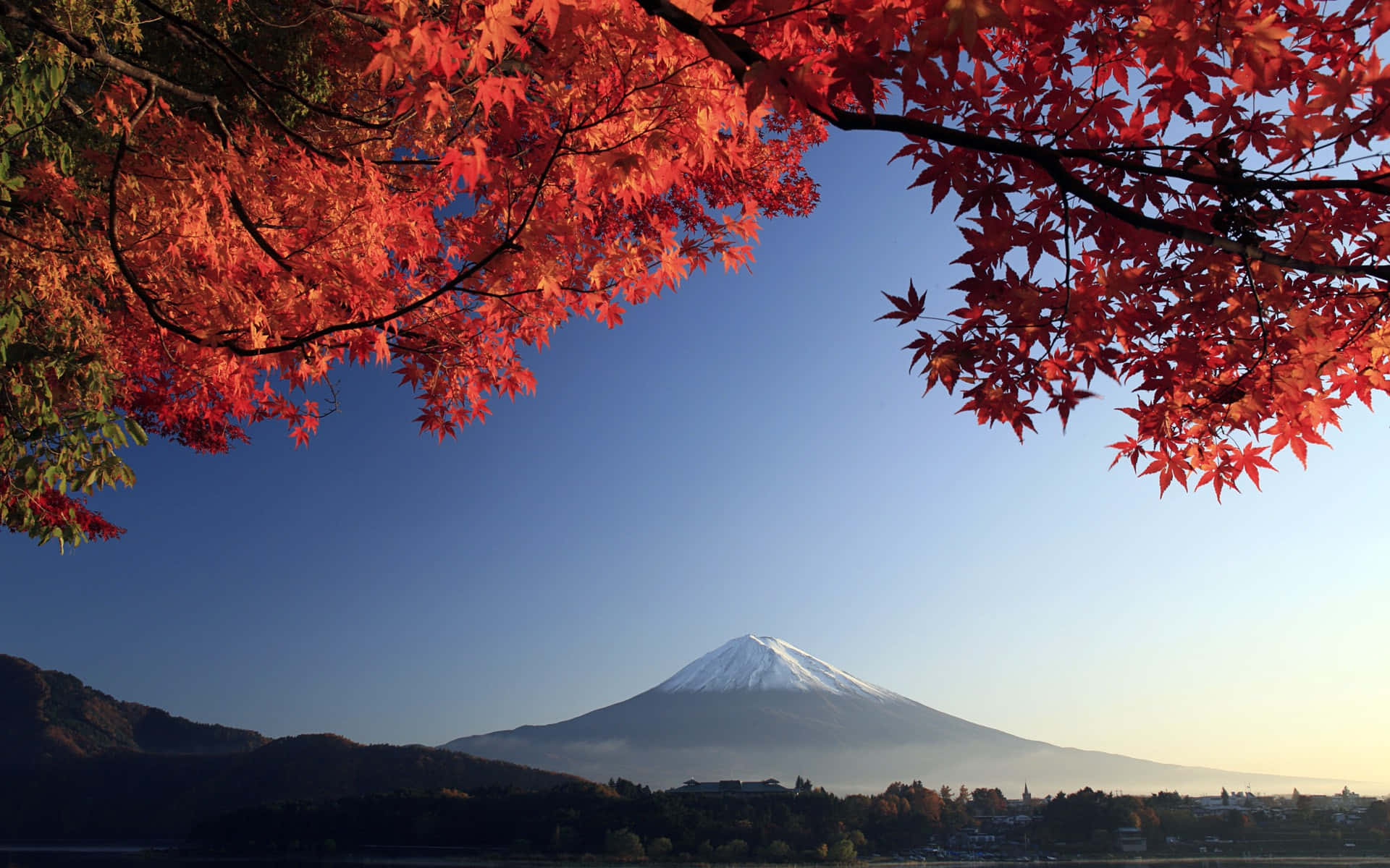 Explore the beauty of Japan