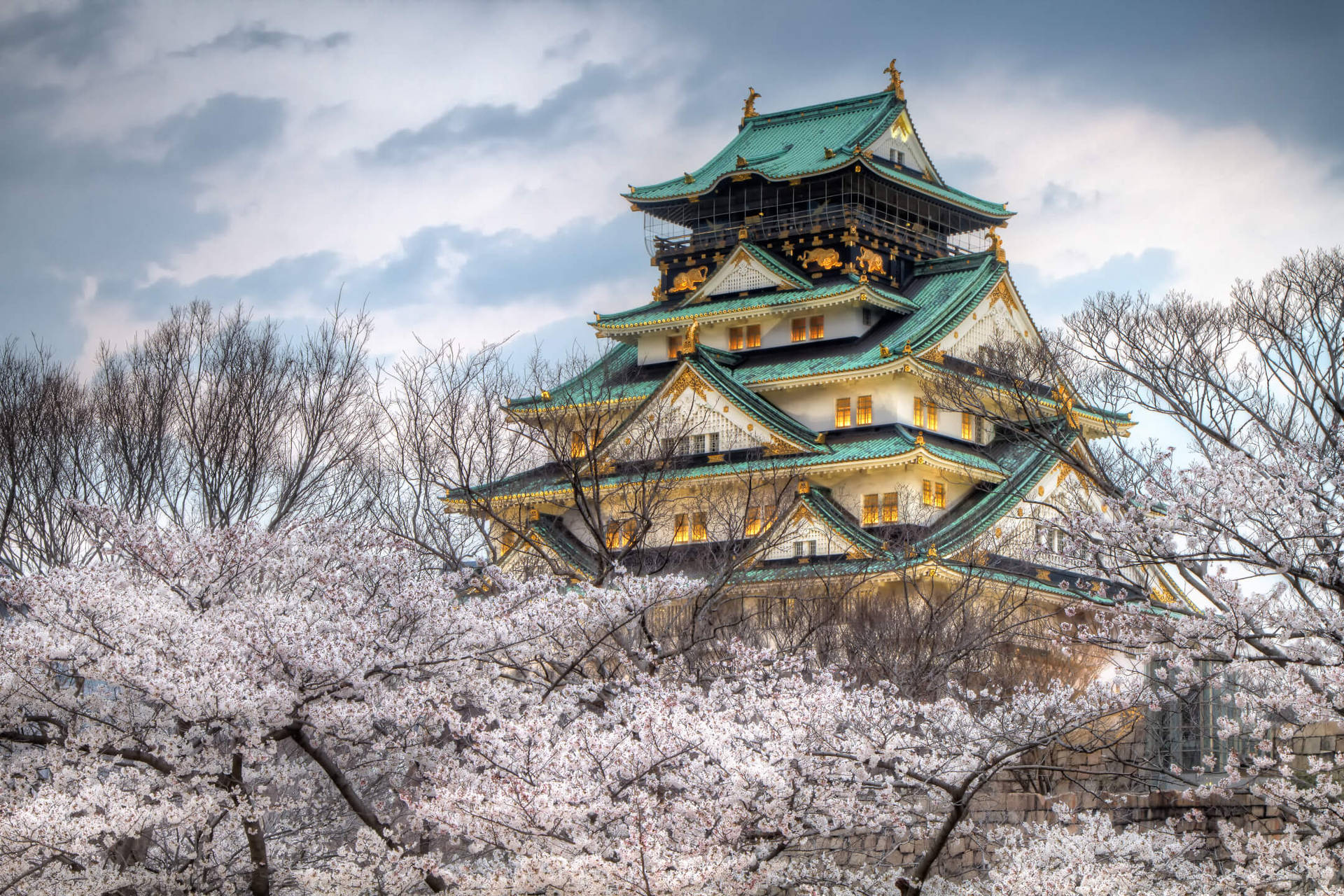 Japanese Castle Image