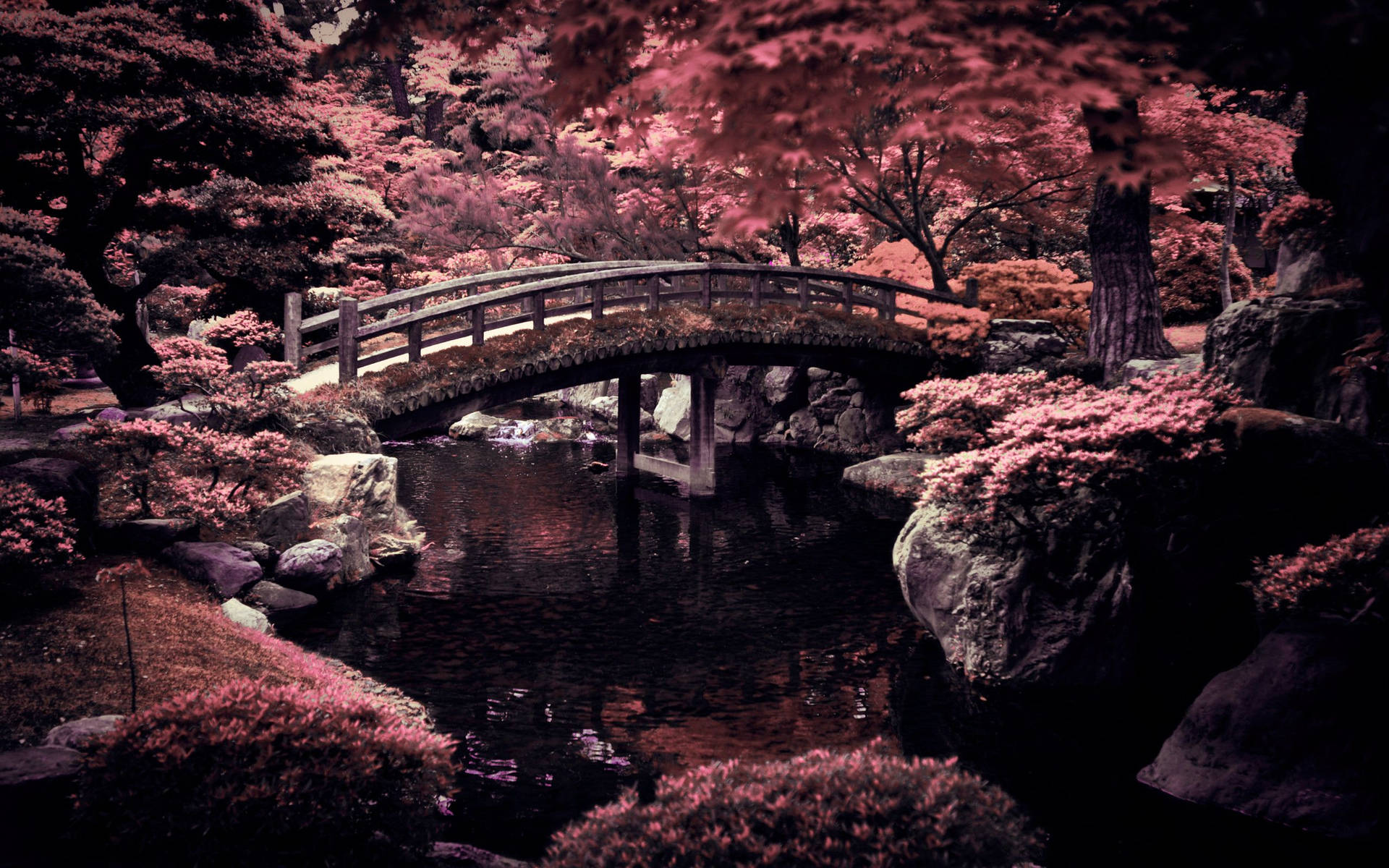 Enjoy the beauty of traditional Japanese cherry blossom bridge Wallpaper
