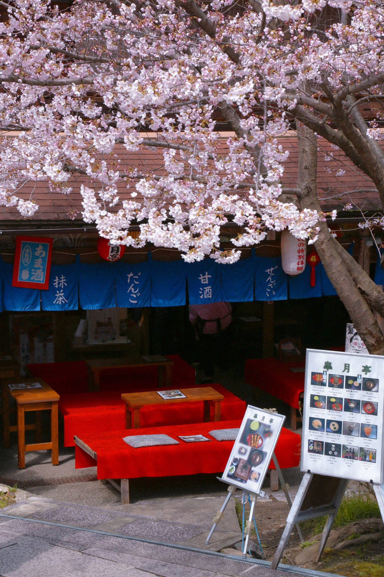 Top 999+ Sakura Haruno Wallpapers Full HD, 4K✅Free to Use
