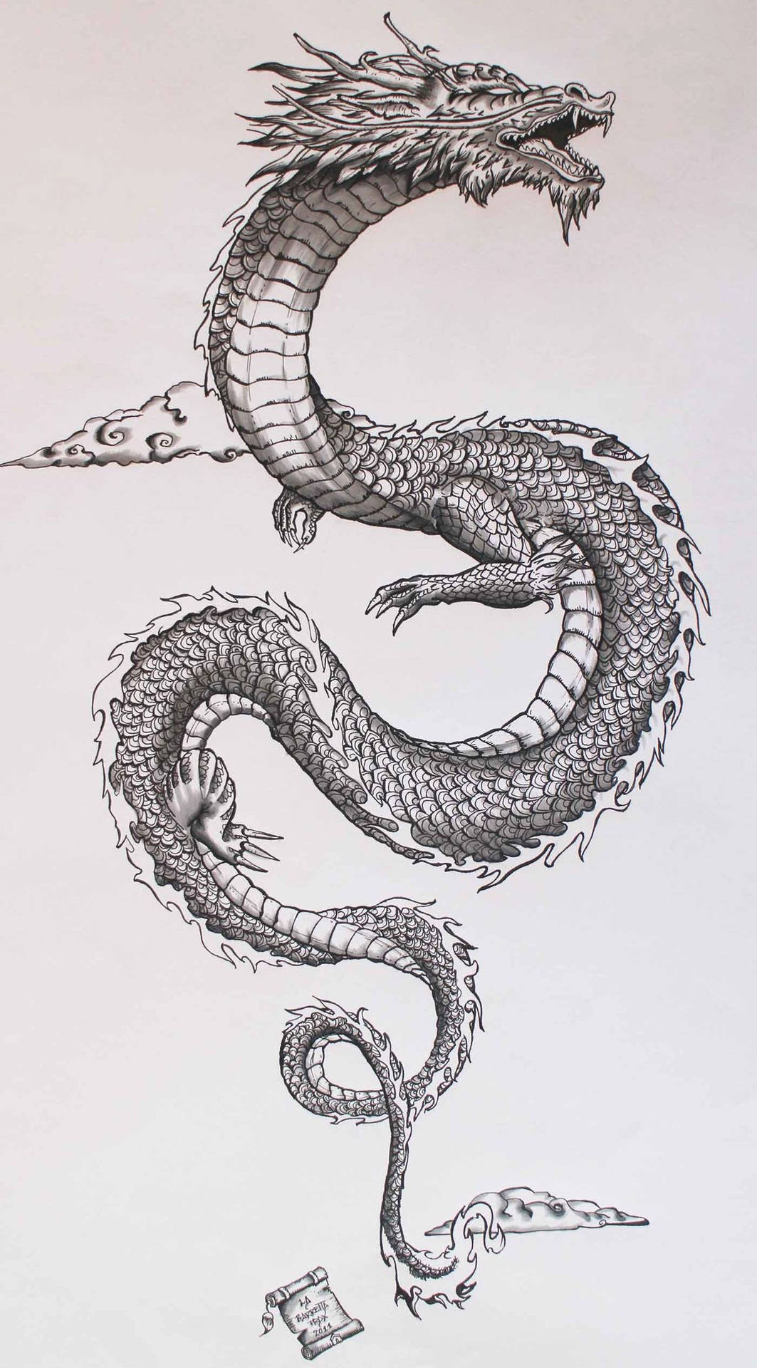 Tattoo art sketch of a japanese dragon Stock Photo Picture And Low  Budget Royalty Free Image Pic ESY002490745  agefotostock
