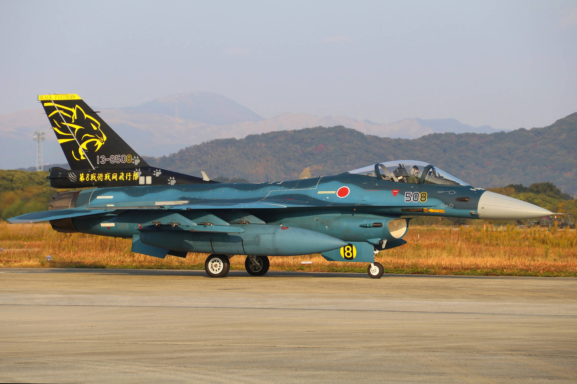 Japanese F-2 Fighter Jet Background