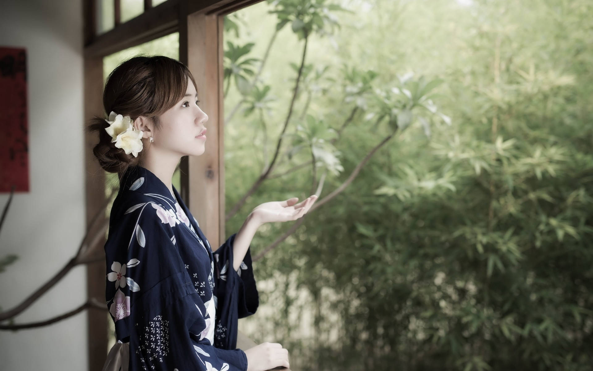 Japanese Girl In Dark Kimono Picture
