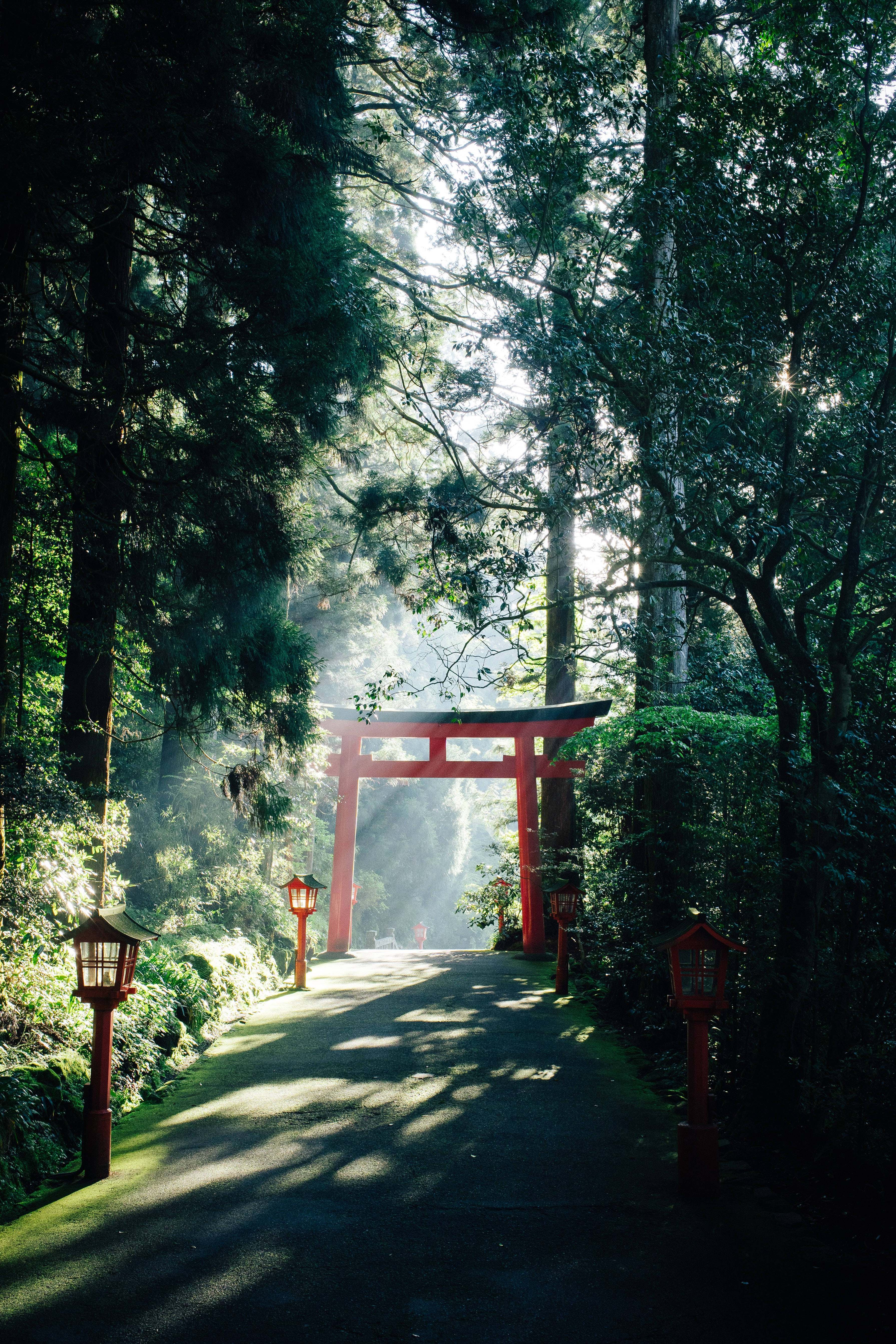 Japanese Hd Torii Gate On A Sunny Day Background