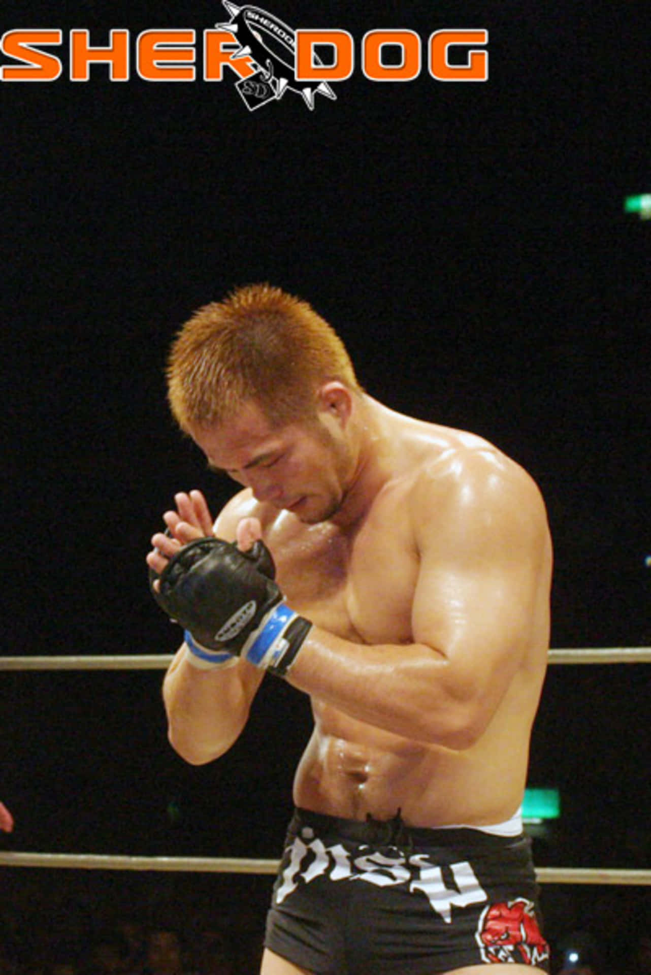 Japansk MMA Kæmper Hayato Sakurai bukker med en sværd Wallpaper