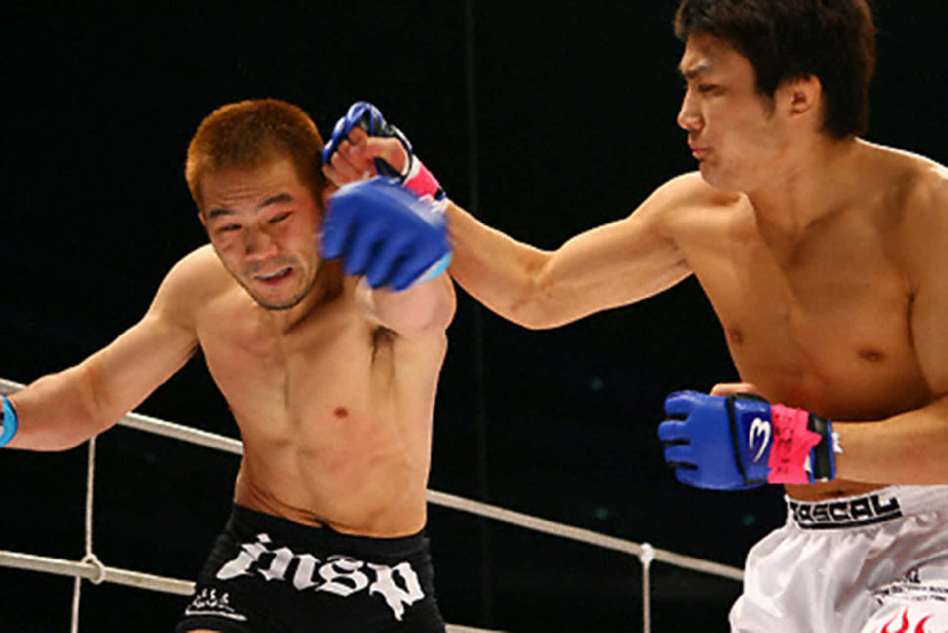Japanske MMA-kæmpere Hayato Sakurai og Takanori Gomi på en dyb blå baggrund. Wallpaper