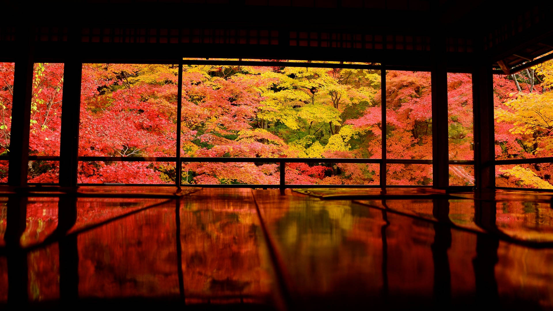 Japanese Nature Autumn Trees Wallpaper