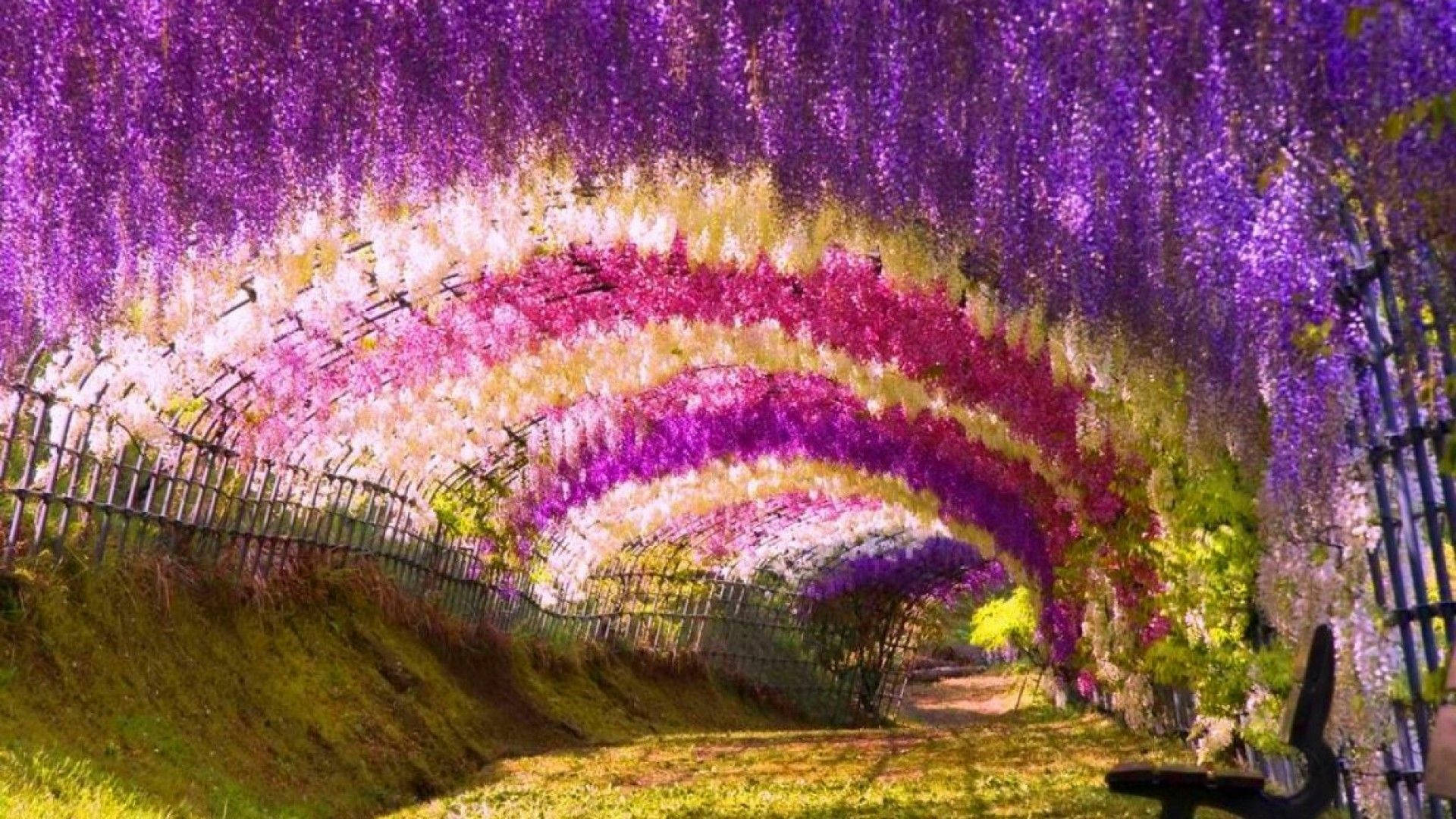 Japanese Nature Plant Tunnel Wallpaper
