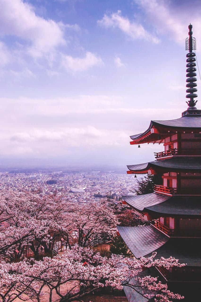 A Pagoda With Cherry Blossoms In The Background Wallpaper