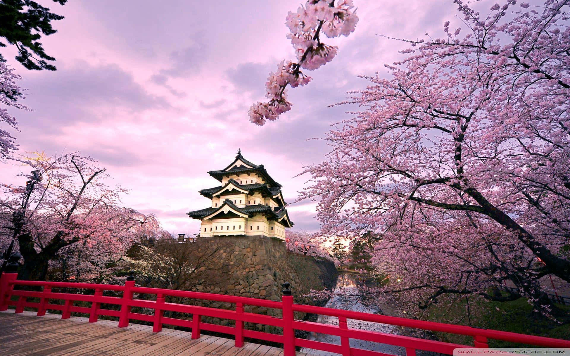 A vibrant burst of colors enveloping a picturesque Japanese Pink landscape. Wallpaper