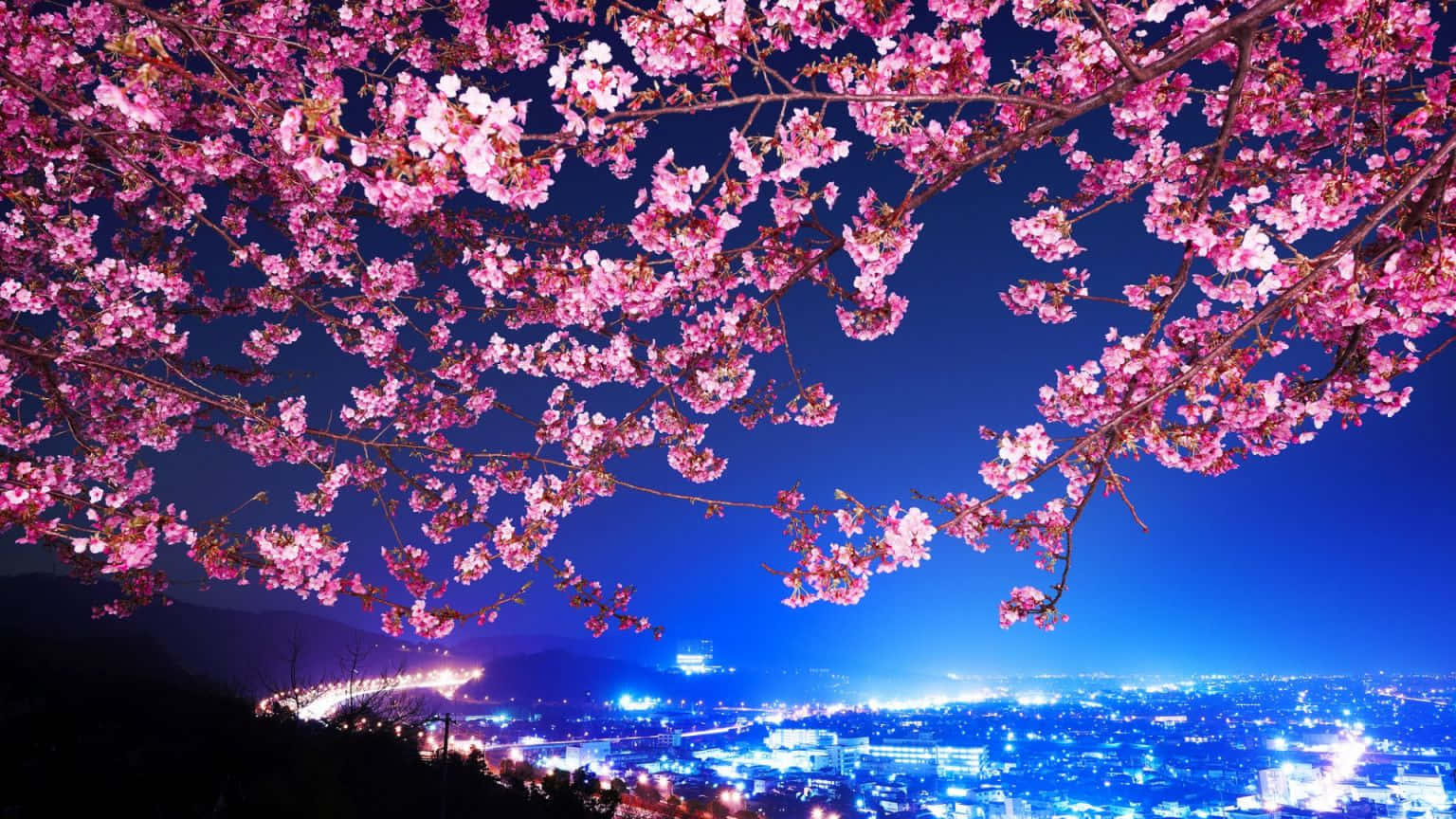 Japanese Pink Night Sky Wallpaper