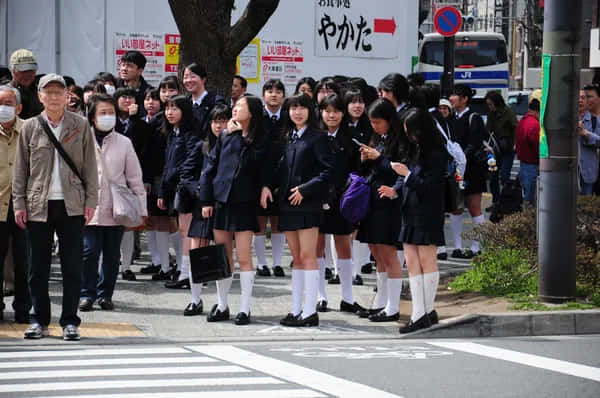 Japanese School Girls On Streets Wallpaper