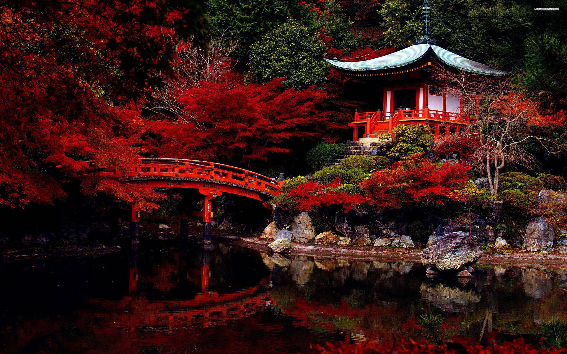 Vivid autumn leaves adorn a majestic Shinto Shrine in Japan. Wallpaper