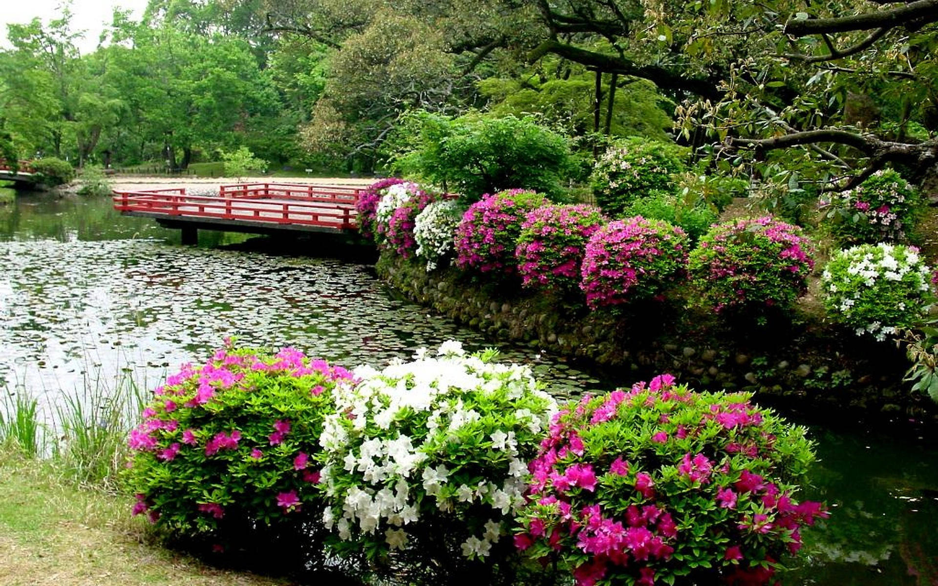 Japanese Style Flower Garden With Pond Wallpaper