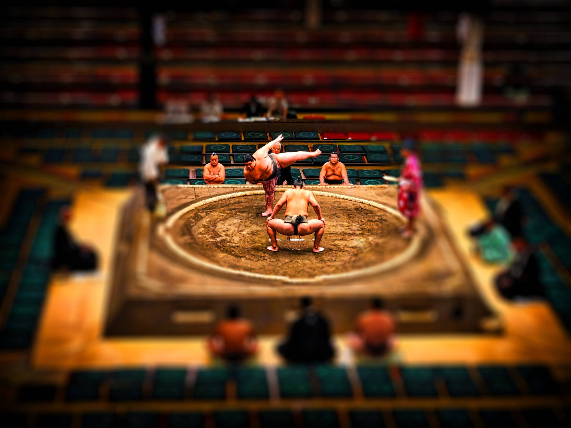 Japanese Sumo Wrestling