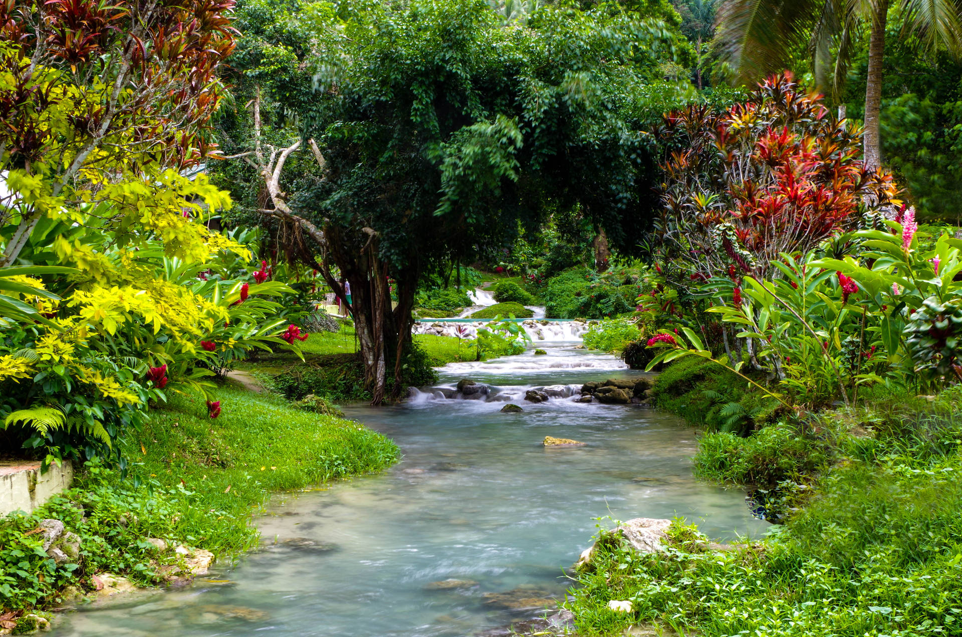 Jardim Do Riacho De Vanuatu Papel de Parede