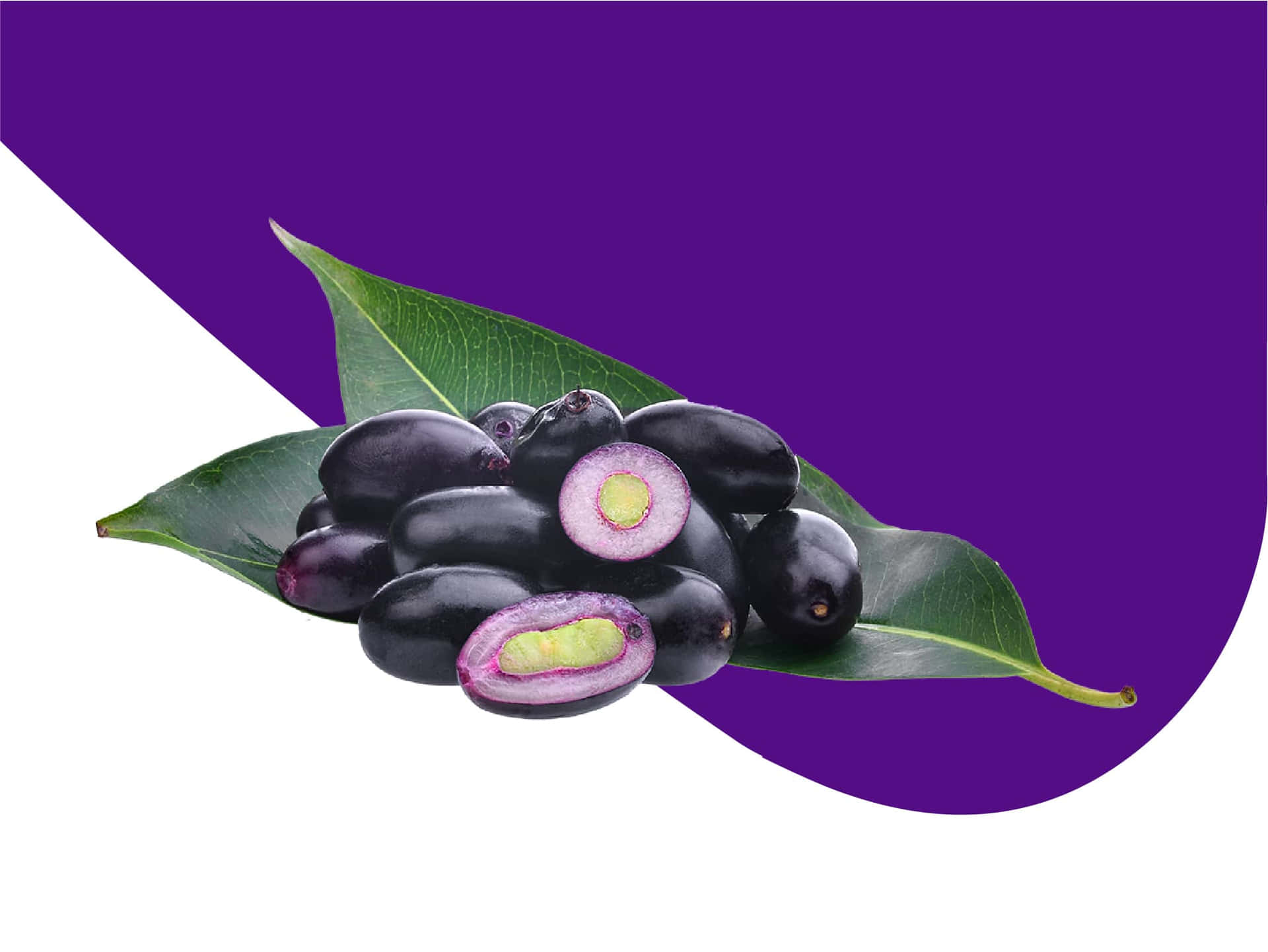 Java Plum Purple And White Background Wallpaper