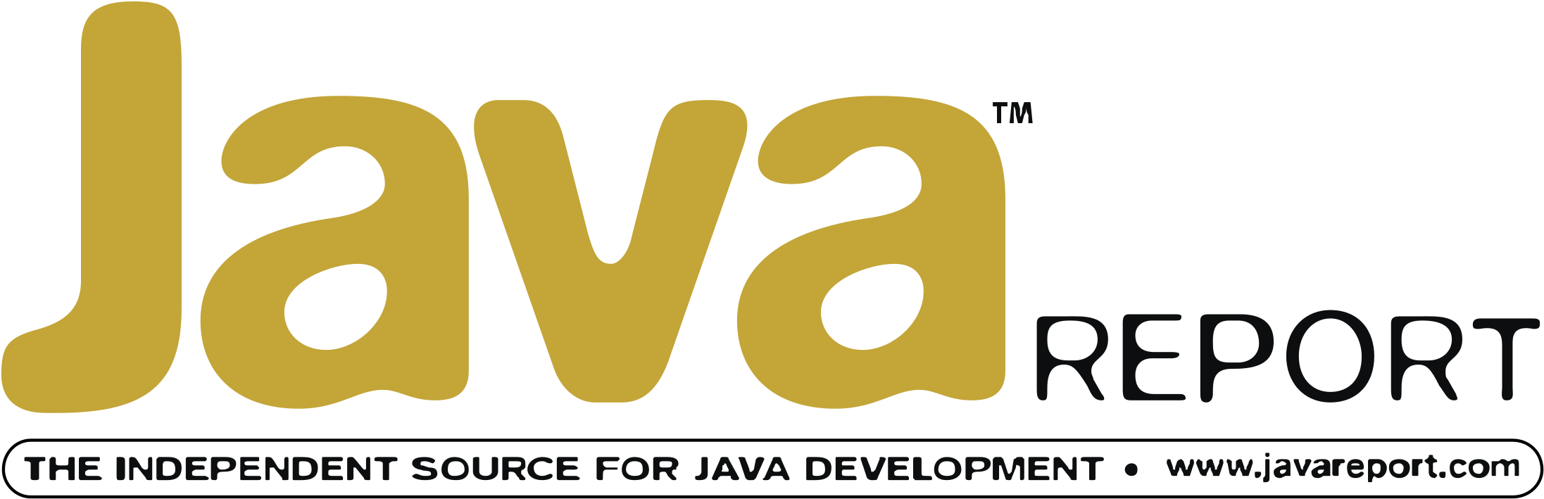 Java_ Report_ Logo_ Transparent_ Background.png PNG
